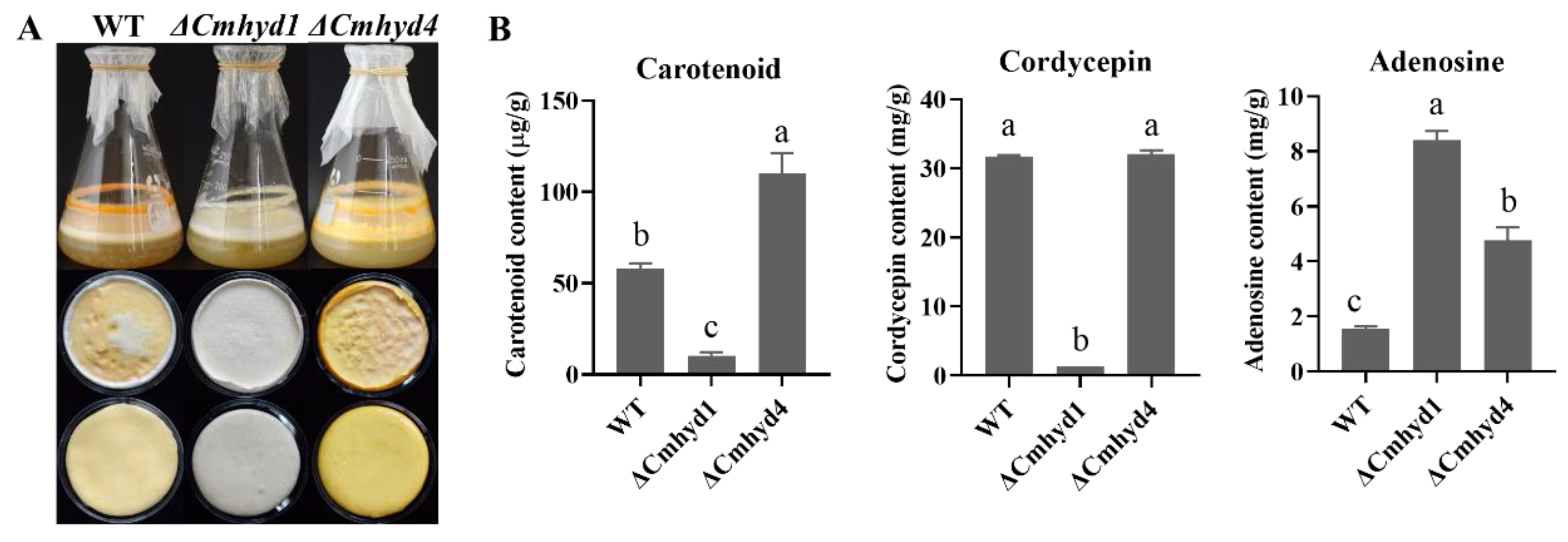 Ijms 24 04586 g004 Ijms 24 04586 g004