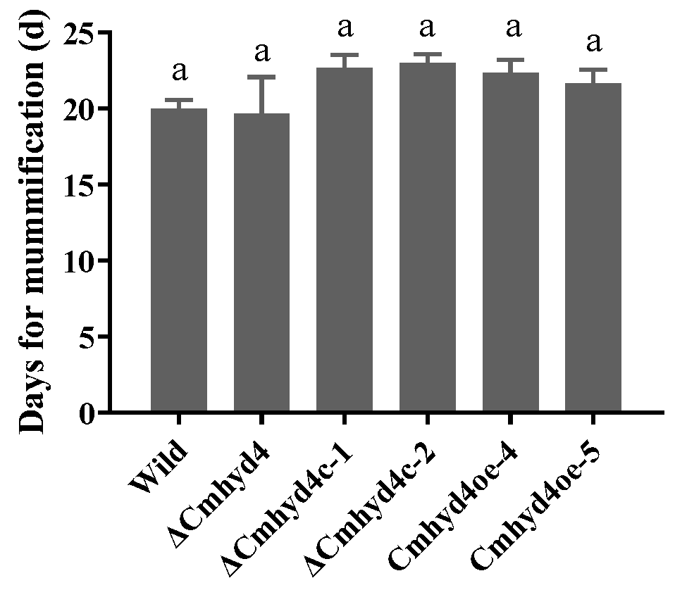 Ijms 24 04586 g006 Ijms 24 04586 g006