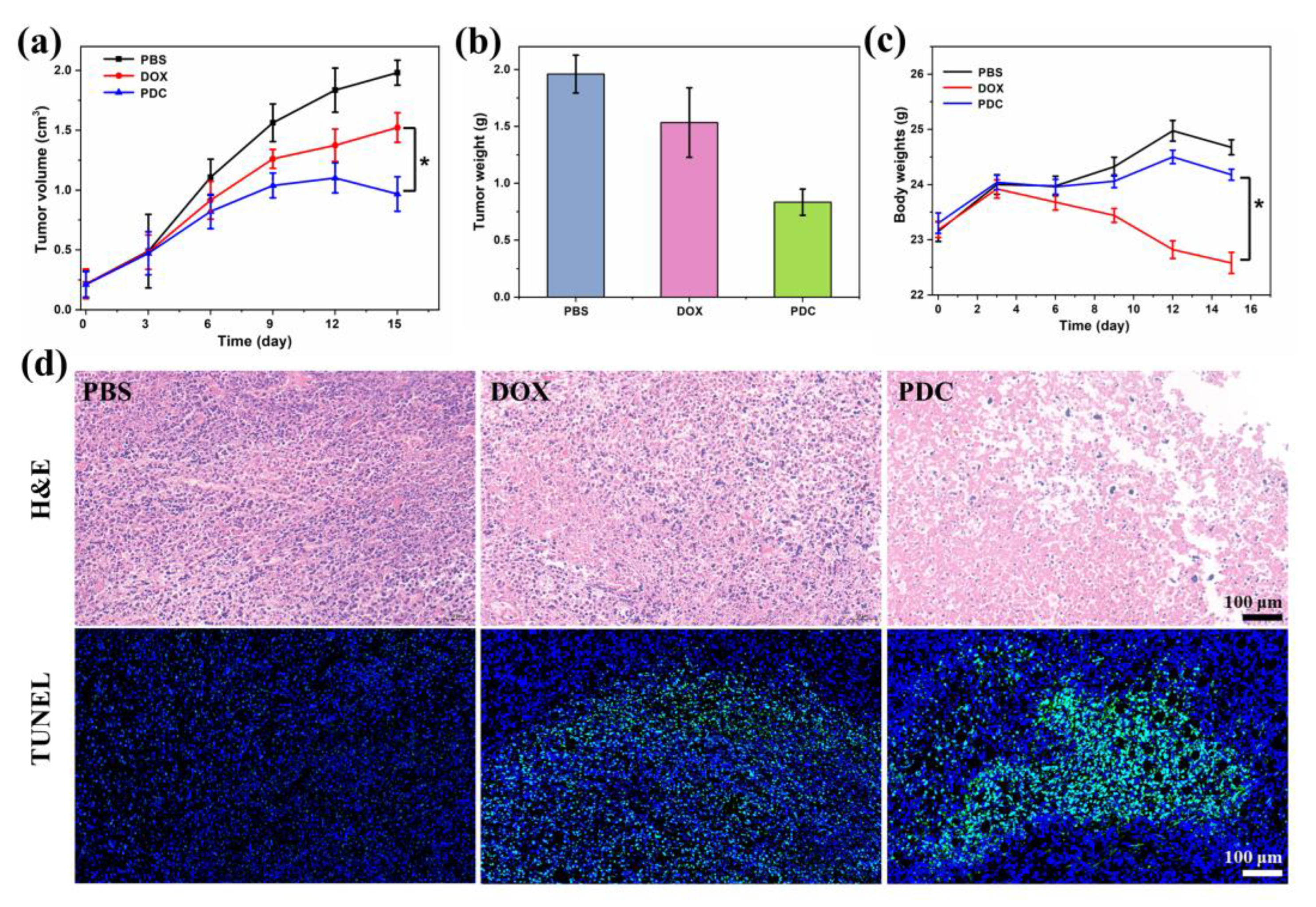 Ijms 24 04590 g005 Ijms 24 04590 g005