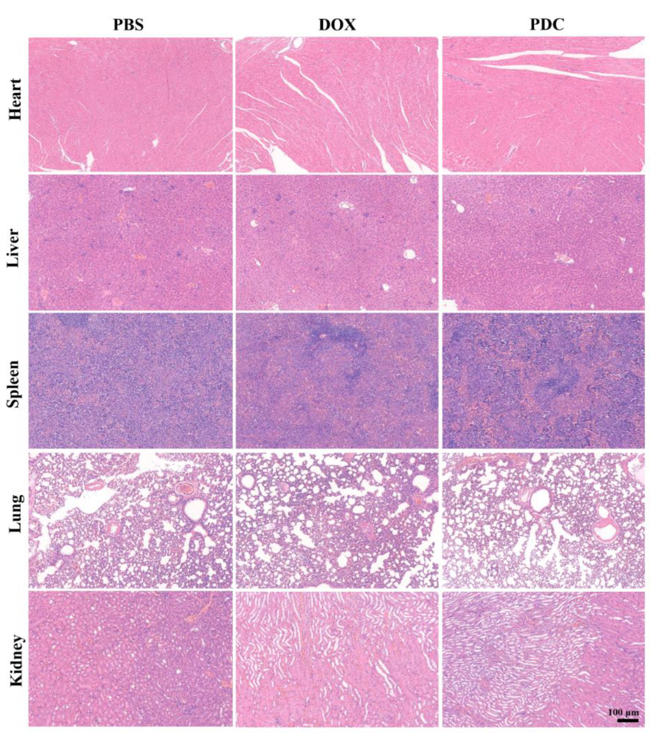 Ijms 24 04590 g006 Ijms 24 04590 g006