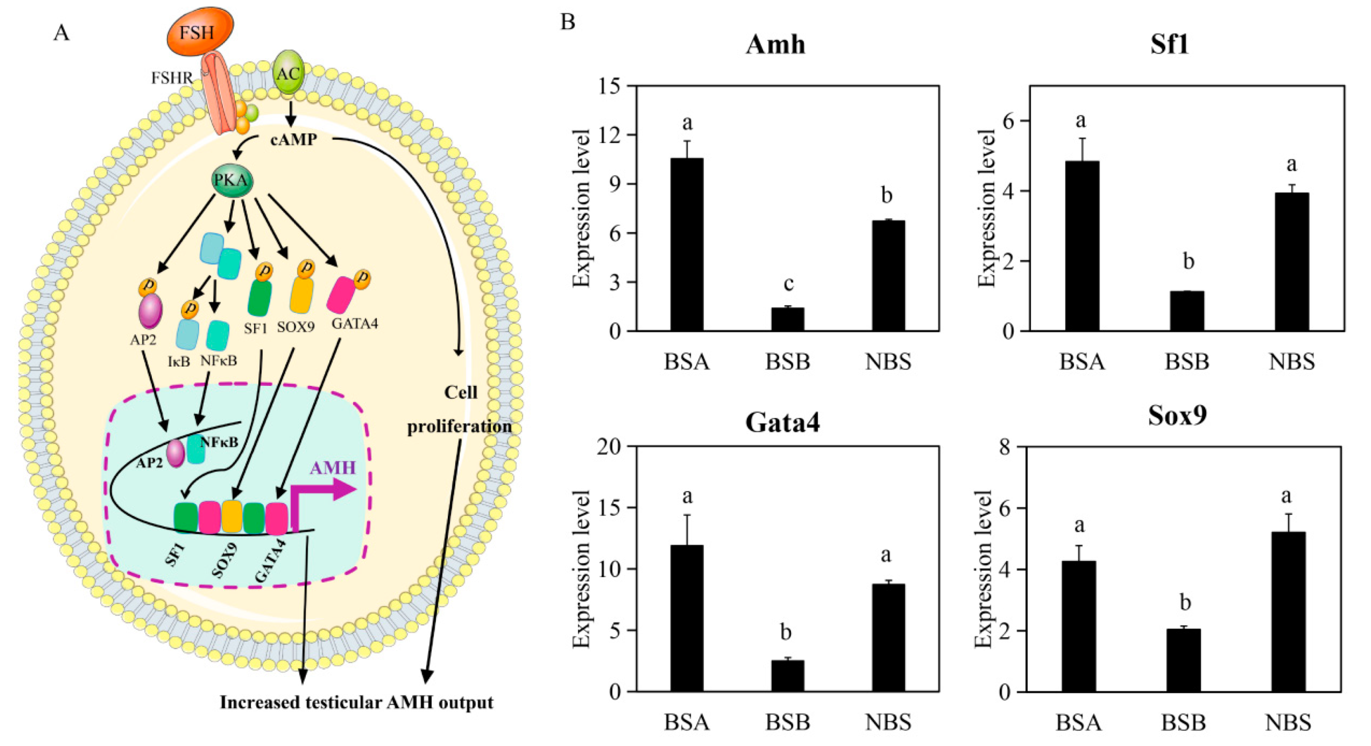 Ijms 24 04611 g004 Ijms 24 04611 g004