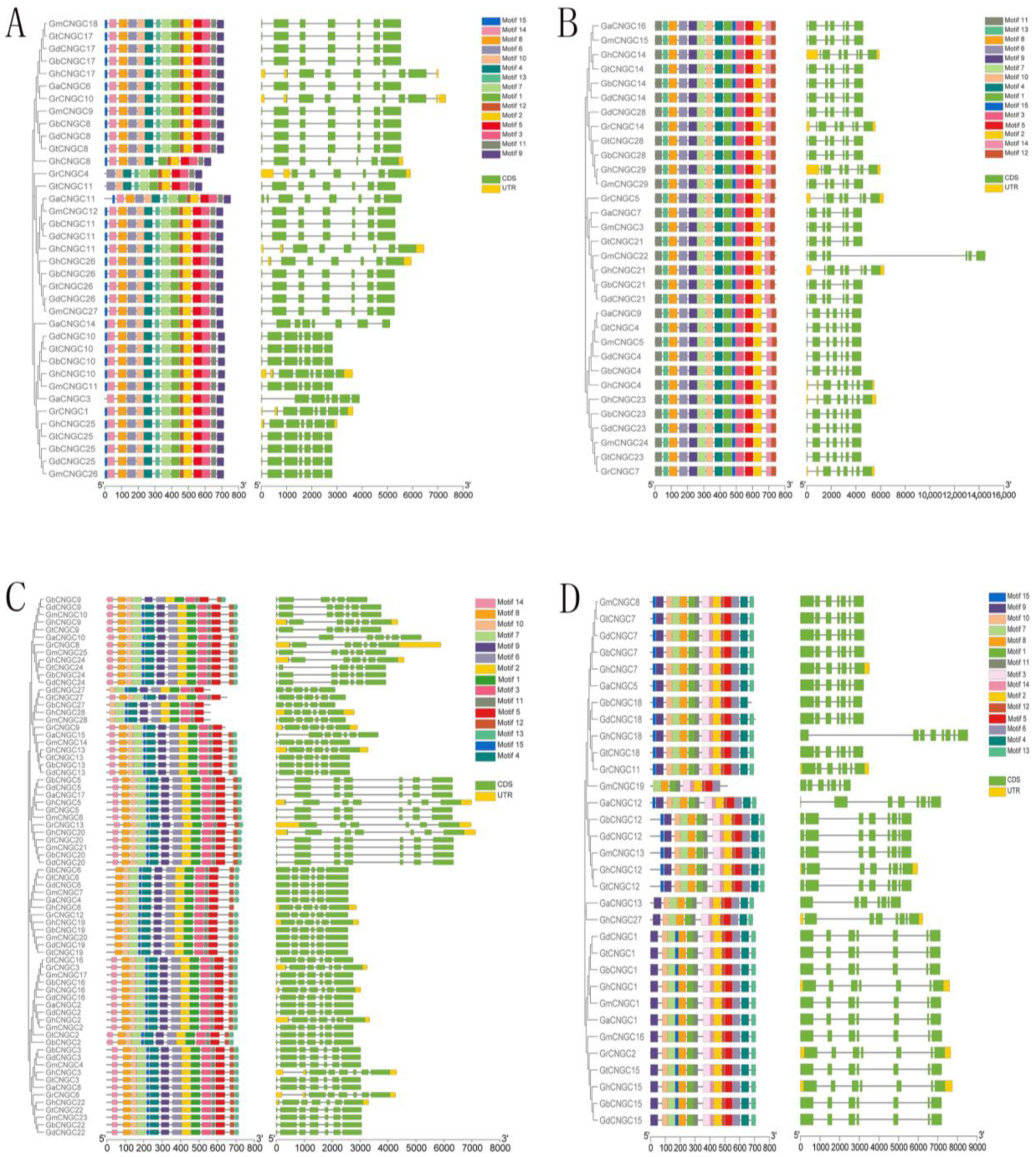 Ijms 24 04617 g003 Ijms 24 04617 g003
