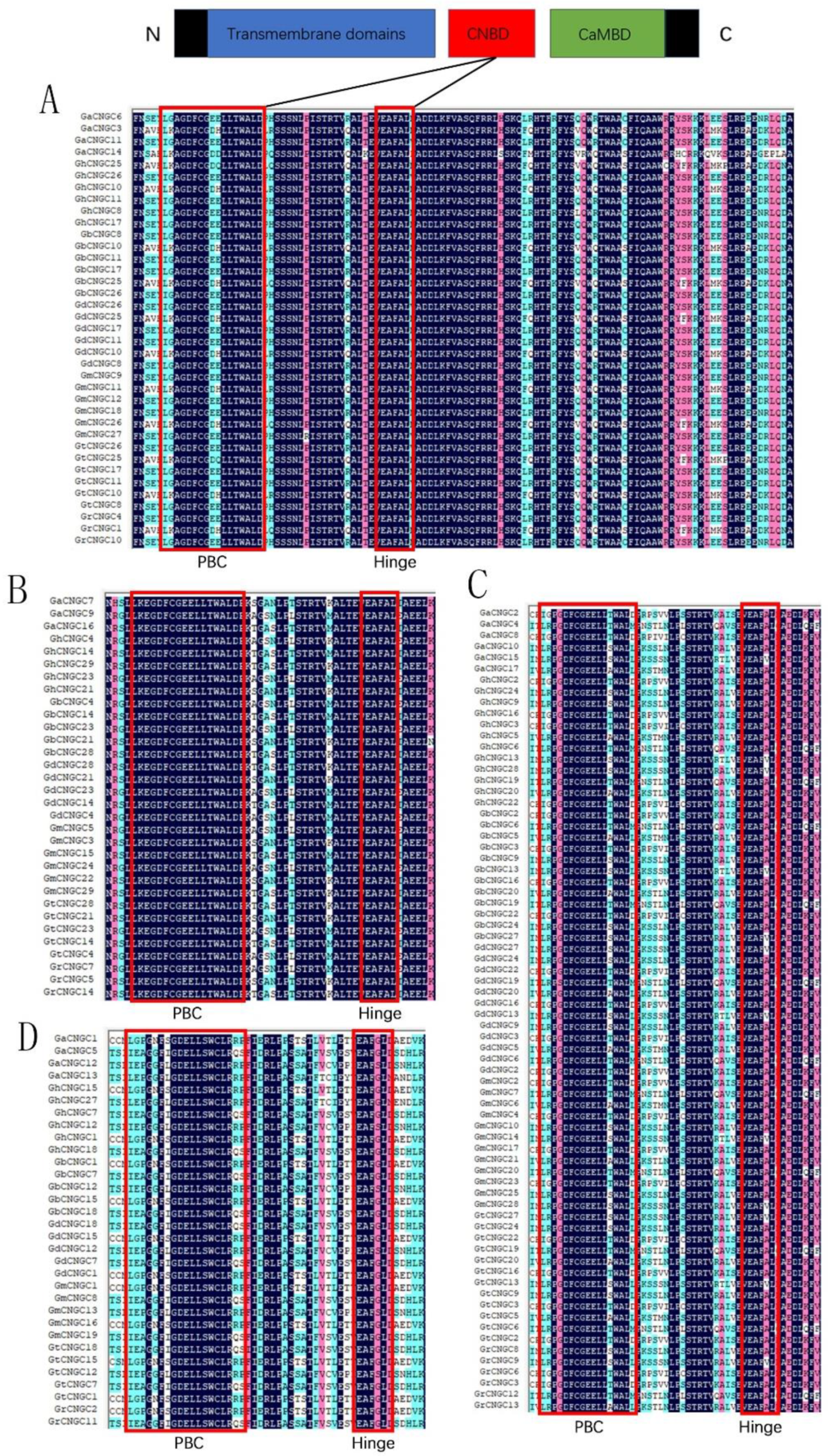 Ijms 24 04617 g004 Ijms 24 04617 g004