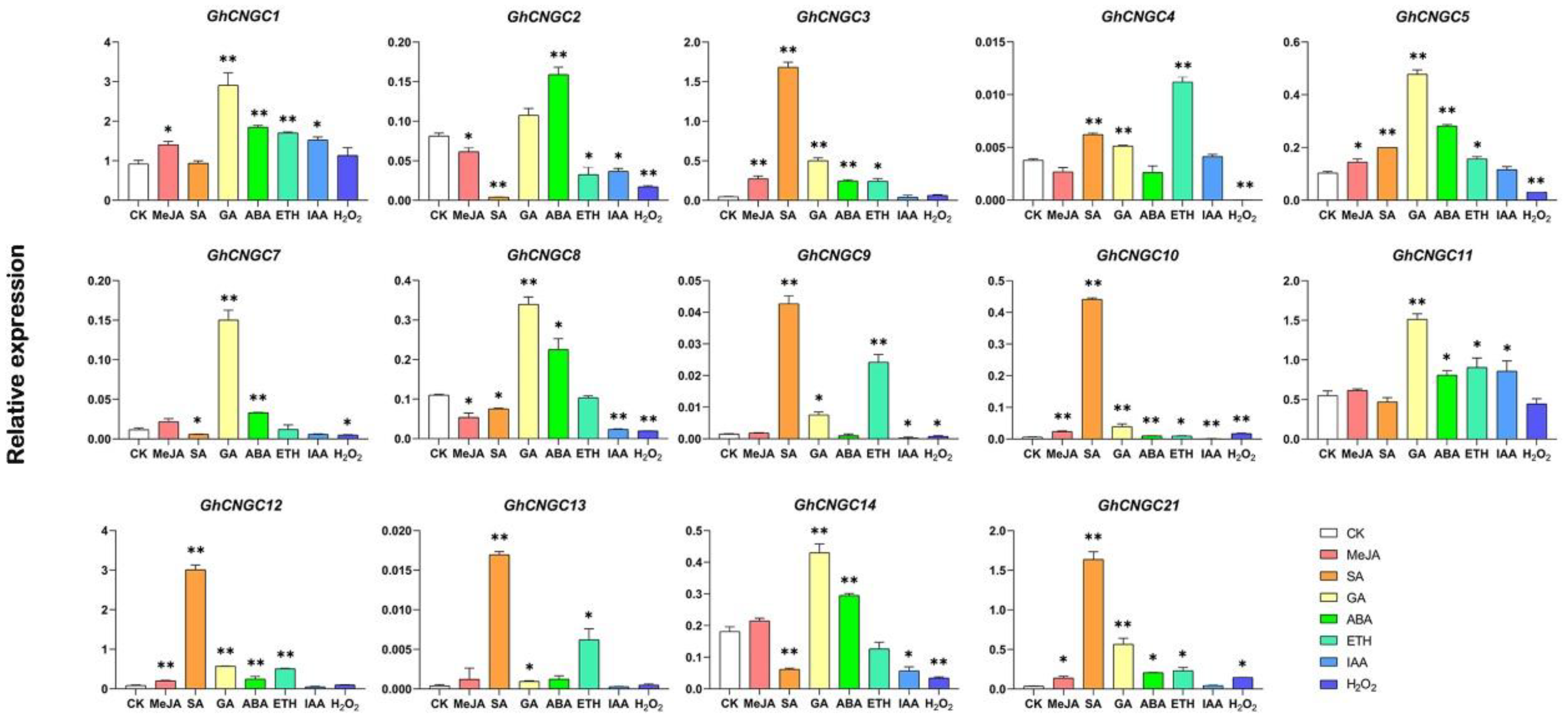 Ijms 24 04617 g007 Ijms 24 04617 g007