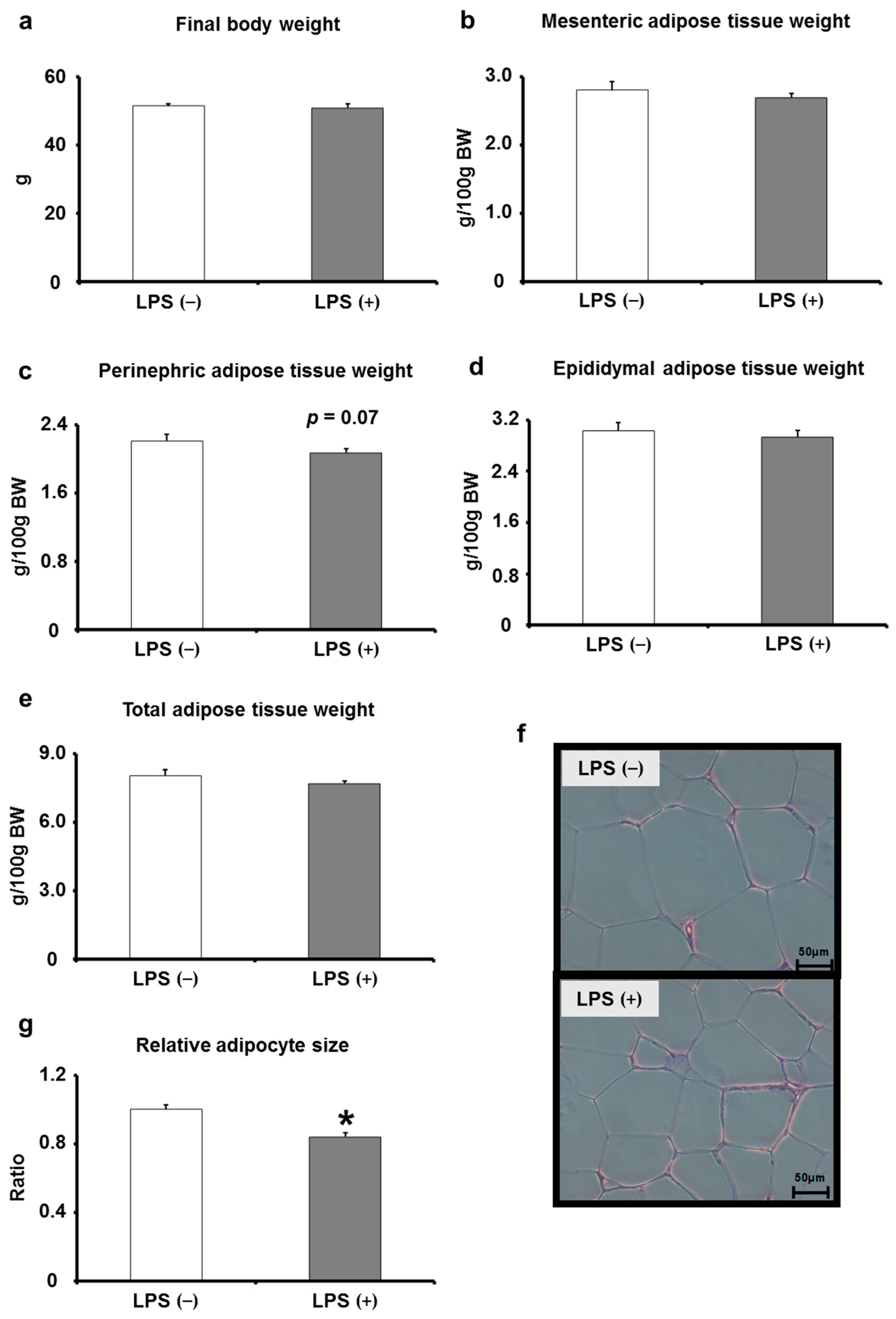 Ijms 24 04619 g004 Ijms 24 04619 g004