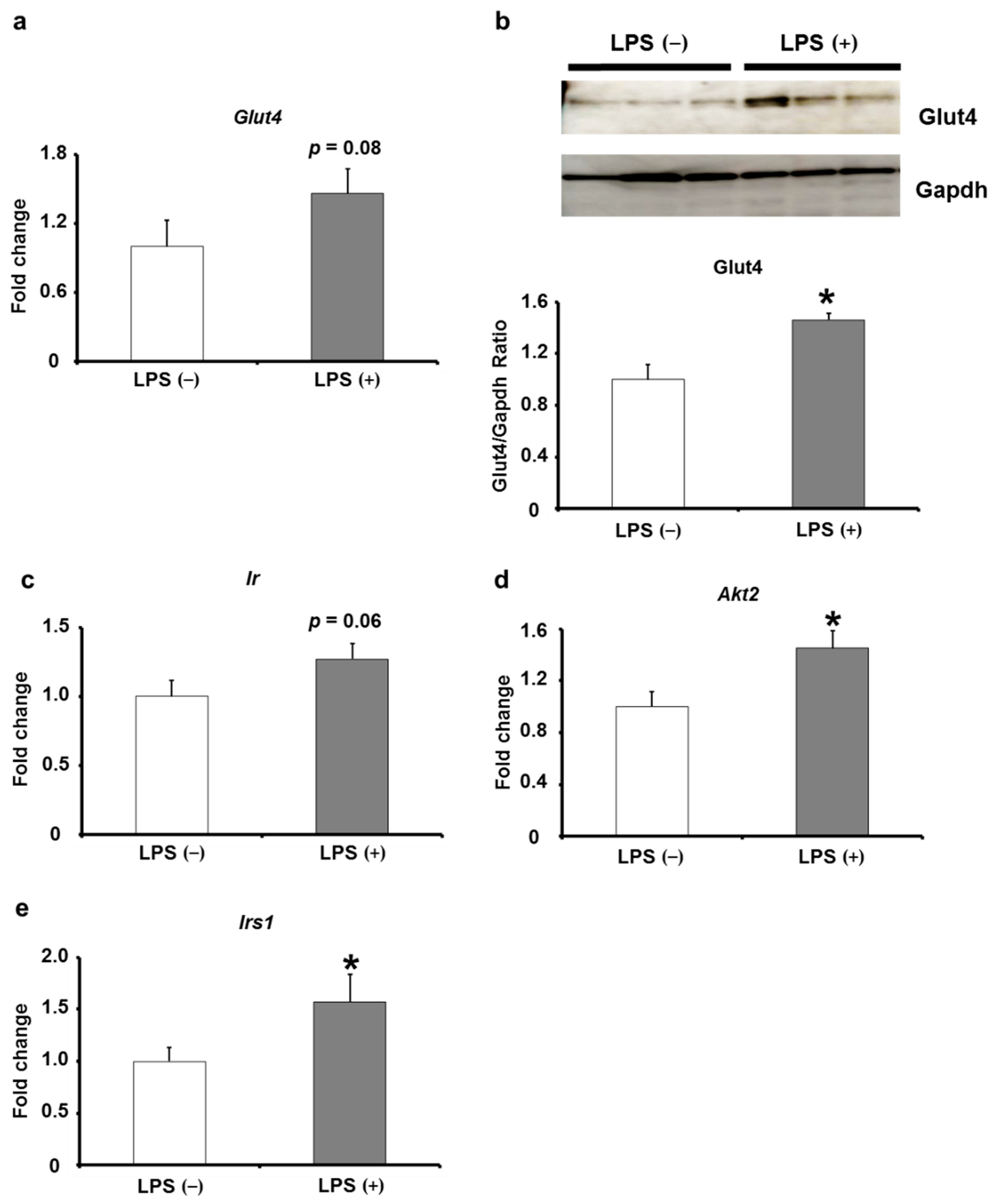 Ijms 24 04619 g005 Ijms 24 04619 g005