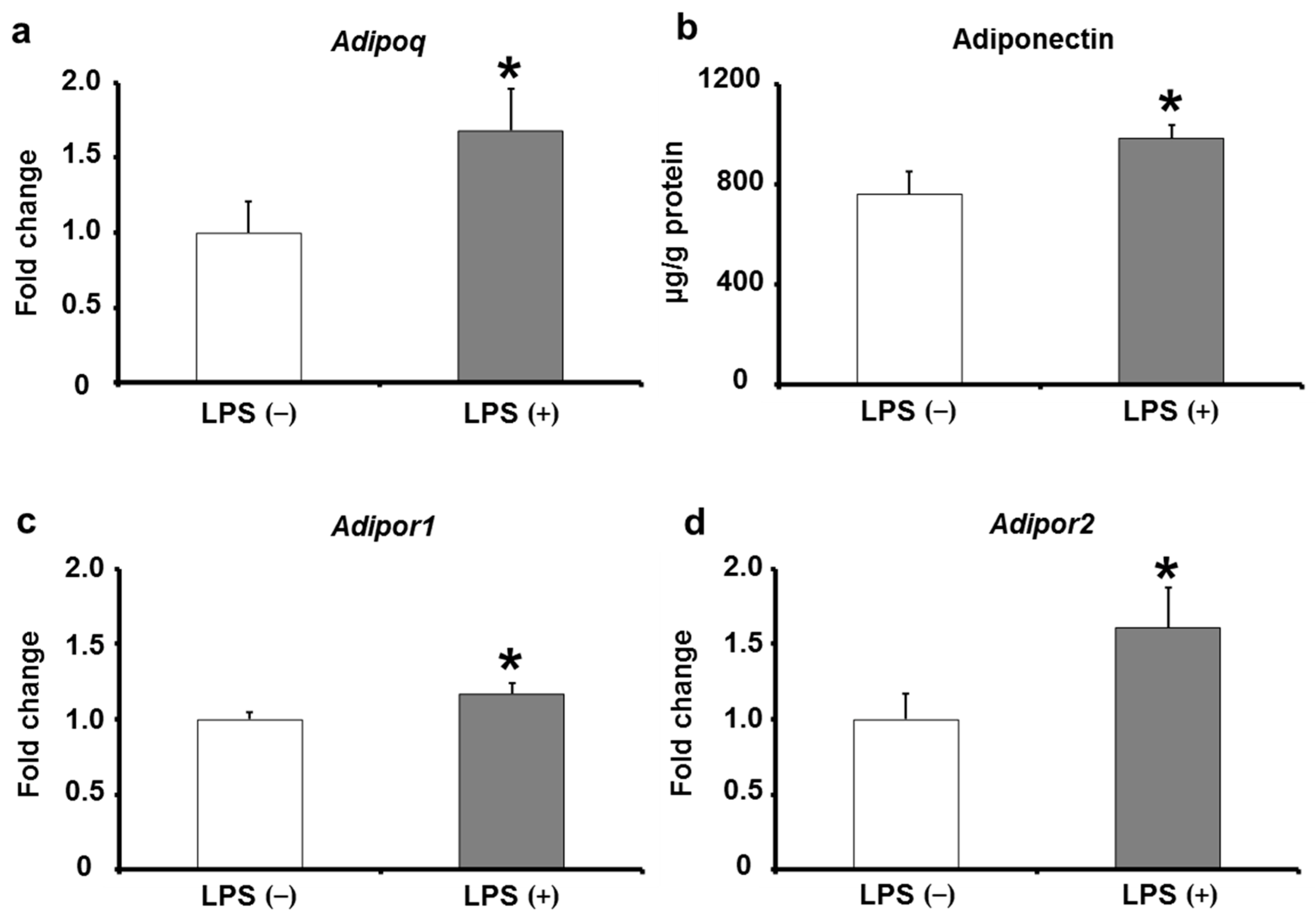Ijms 24 04619 g006 Ijms 24 04619 g006