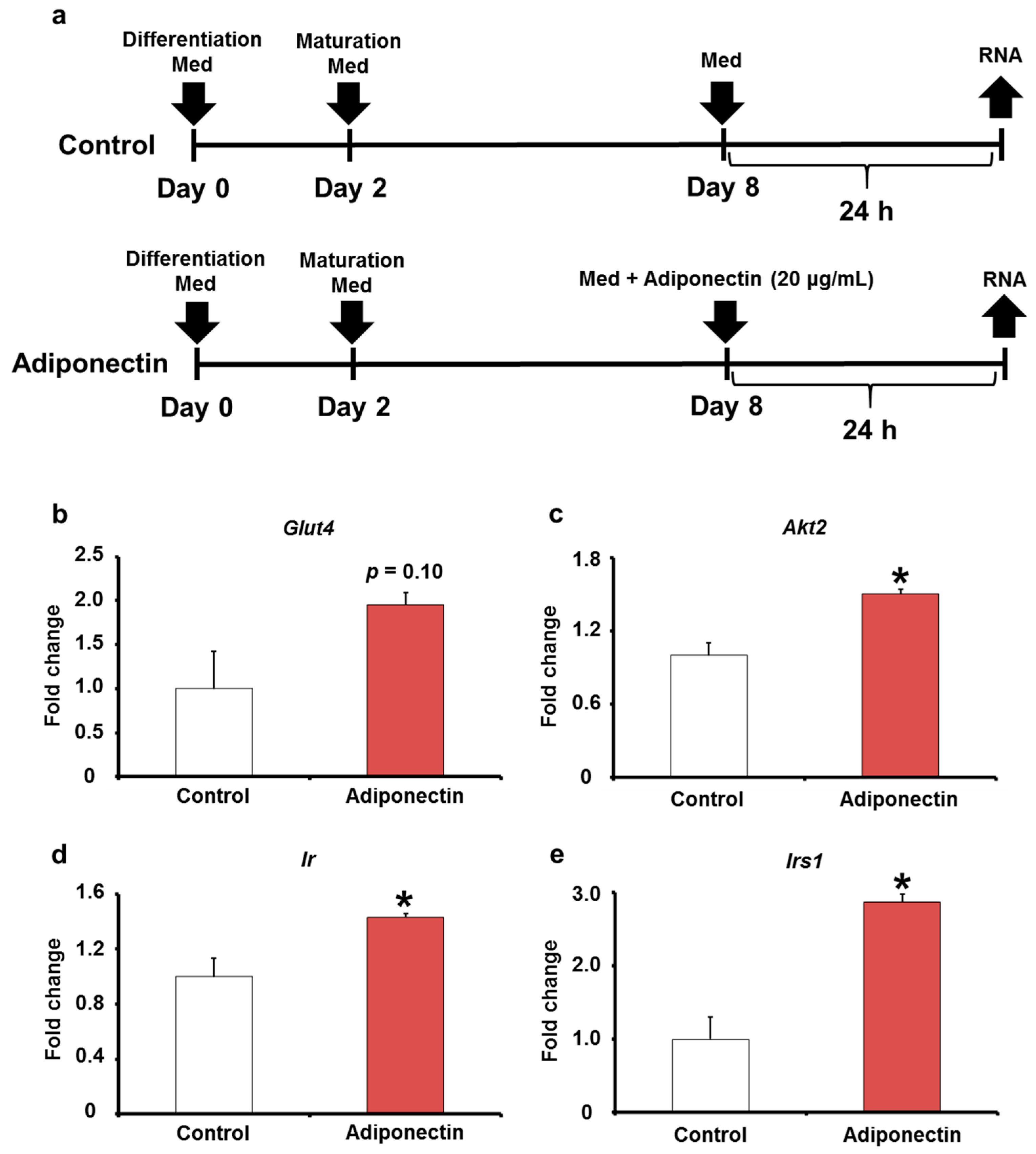 Ijms 24 04619 g007 Ijms 24 04619 g007