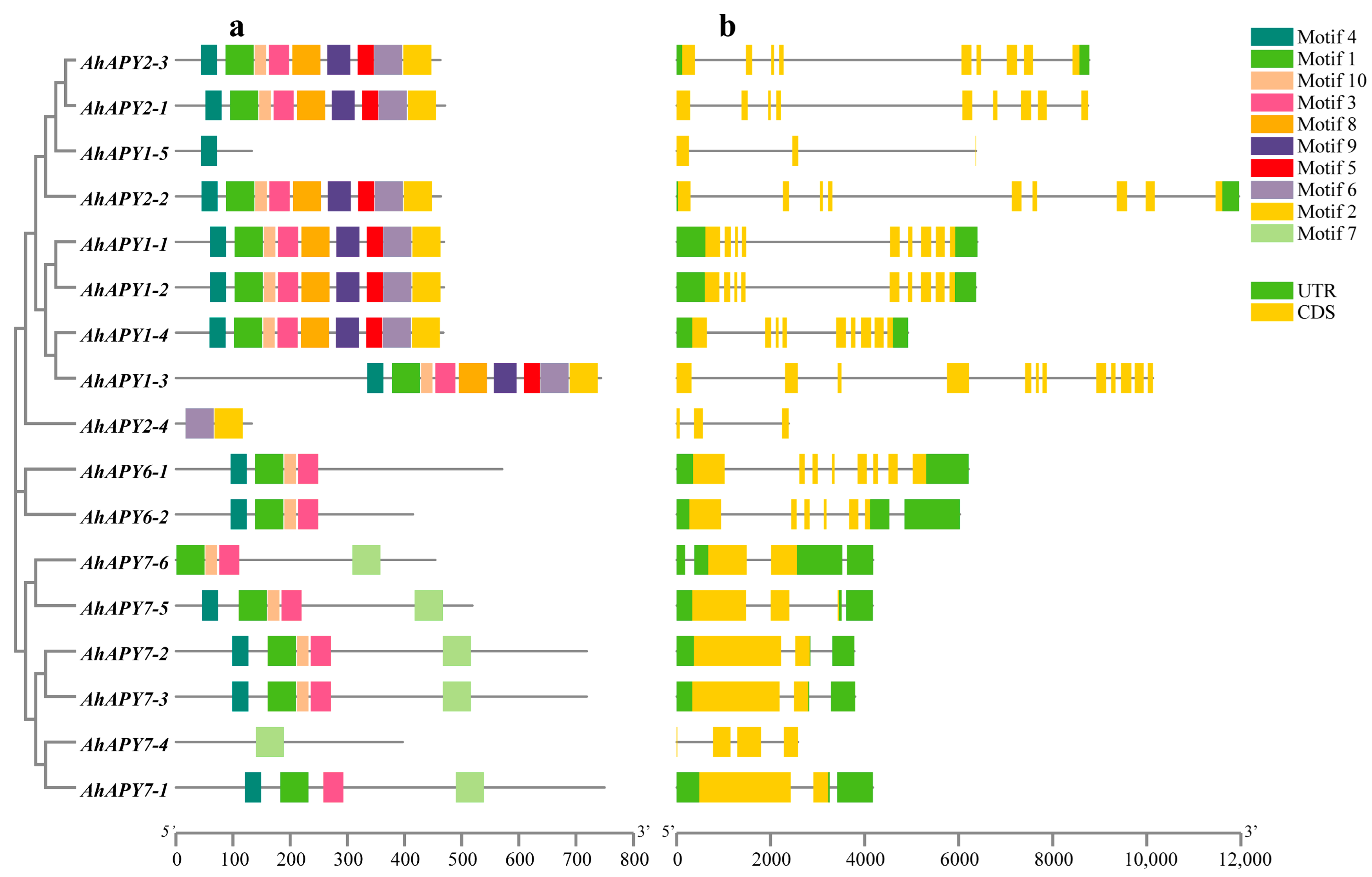 Ijms 24 04622 g002 Ijms 24 04622 g002