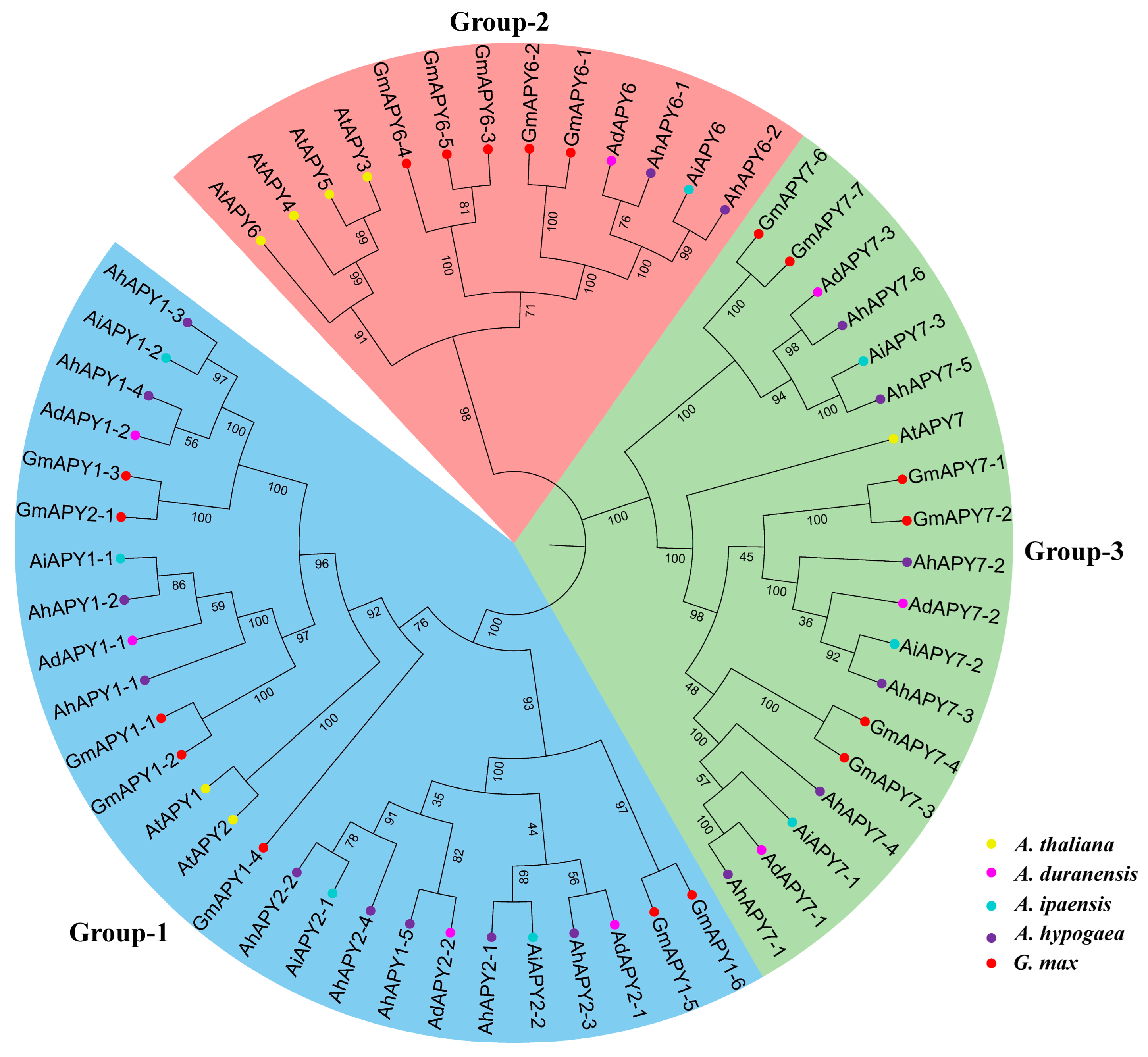 Ijms 24 04622 g003 Ijms 24 04622 g003