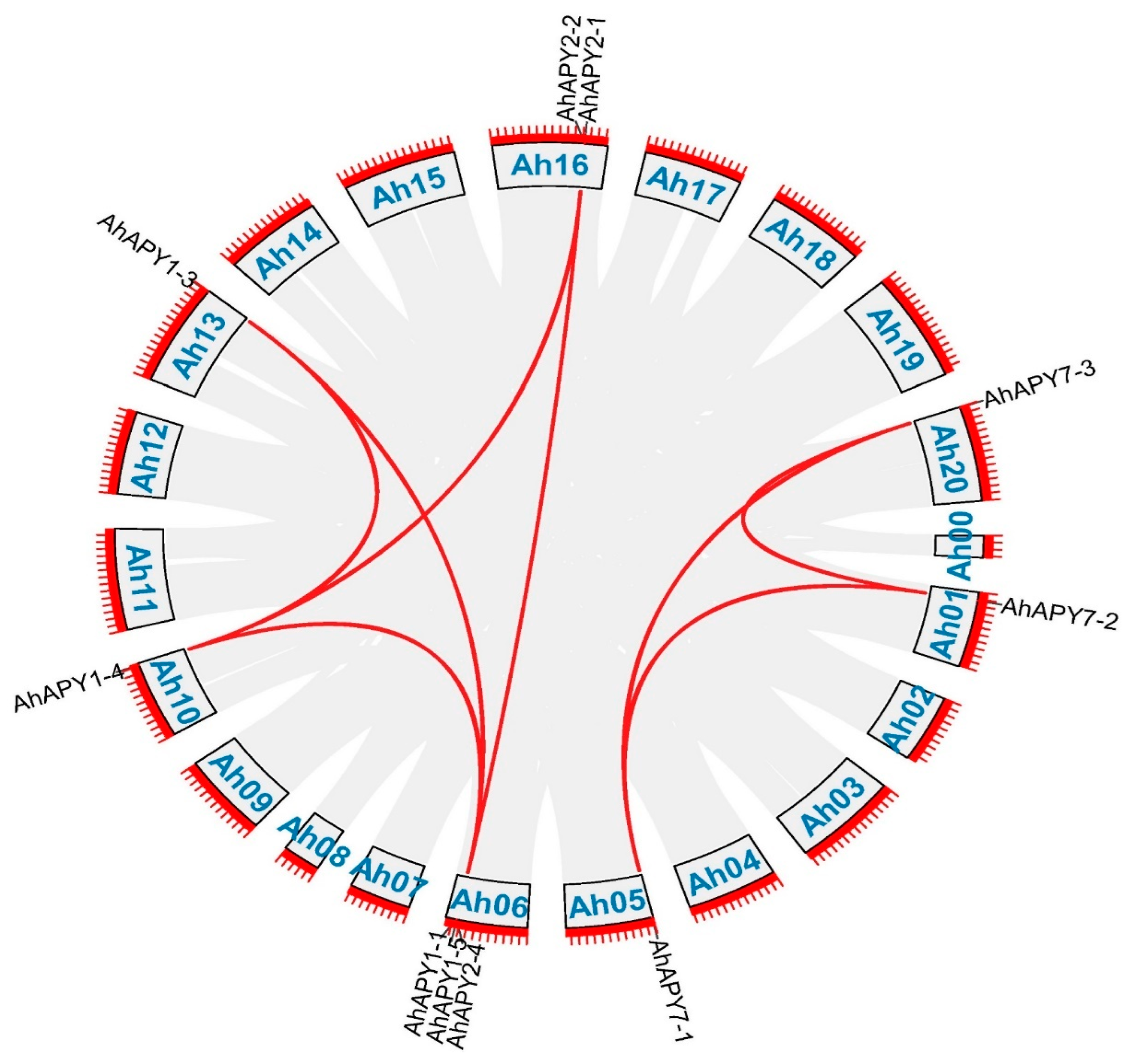 Ijms 24 04622 g004 Ijms 24 04622 g004