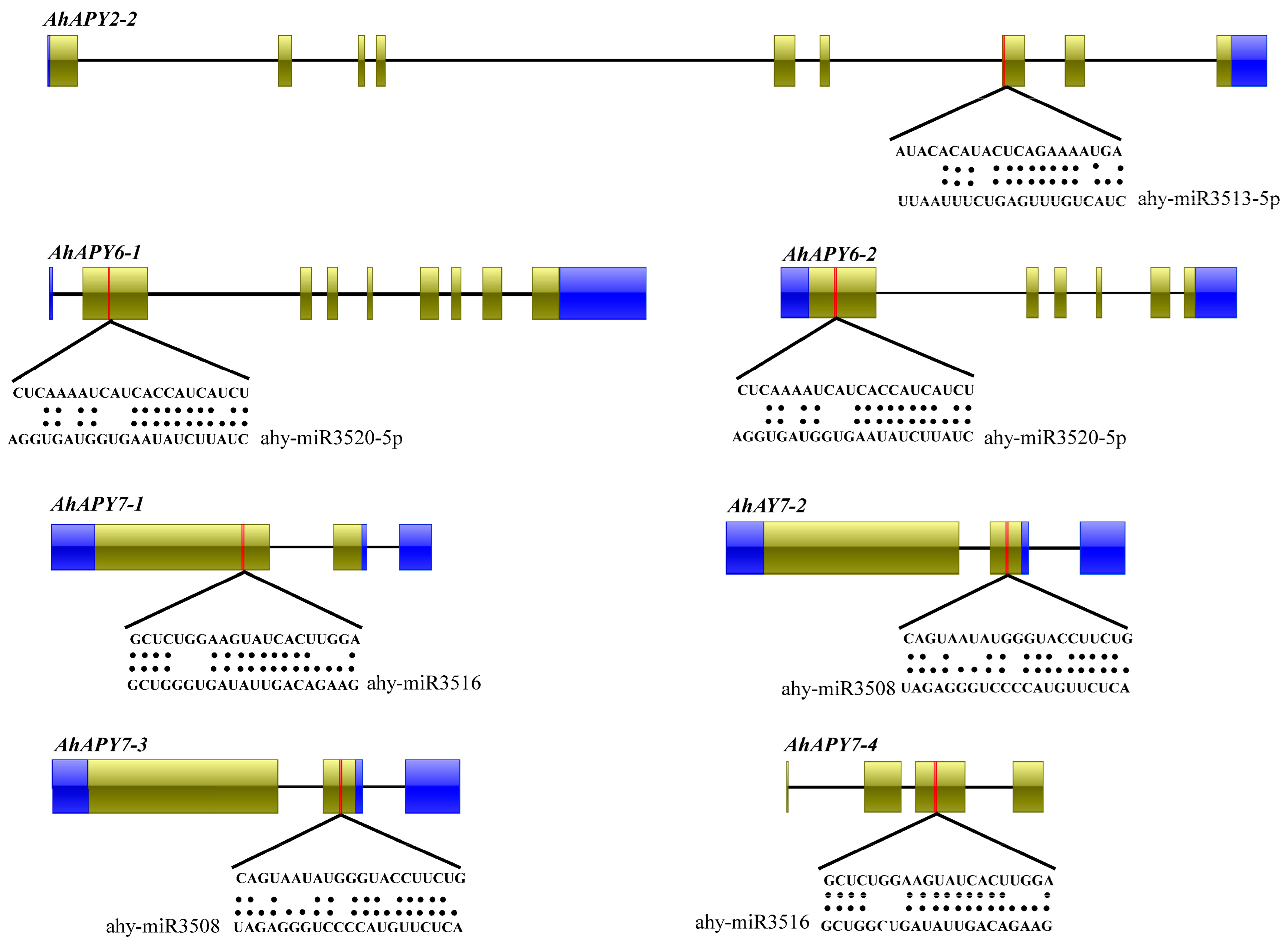 Ijms 24 04622 g005 Ijms 24 04622 g005