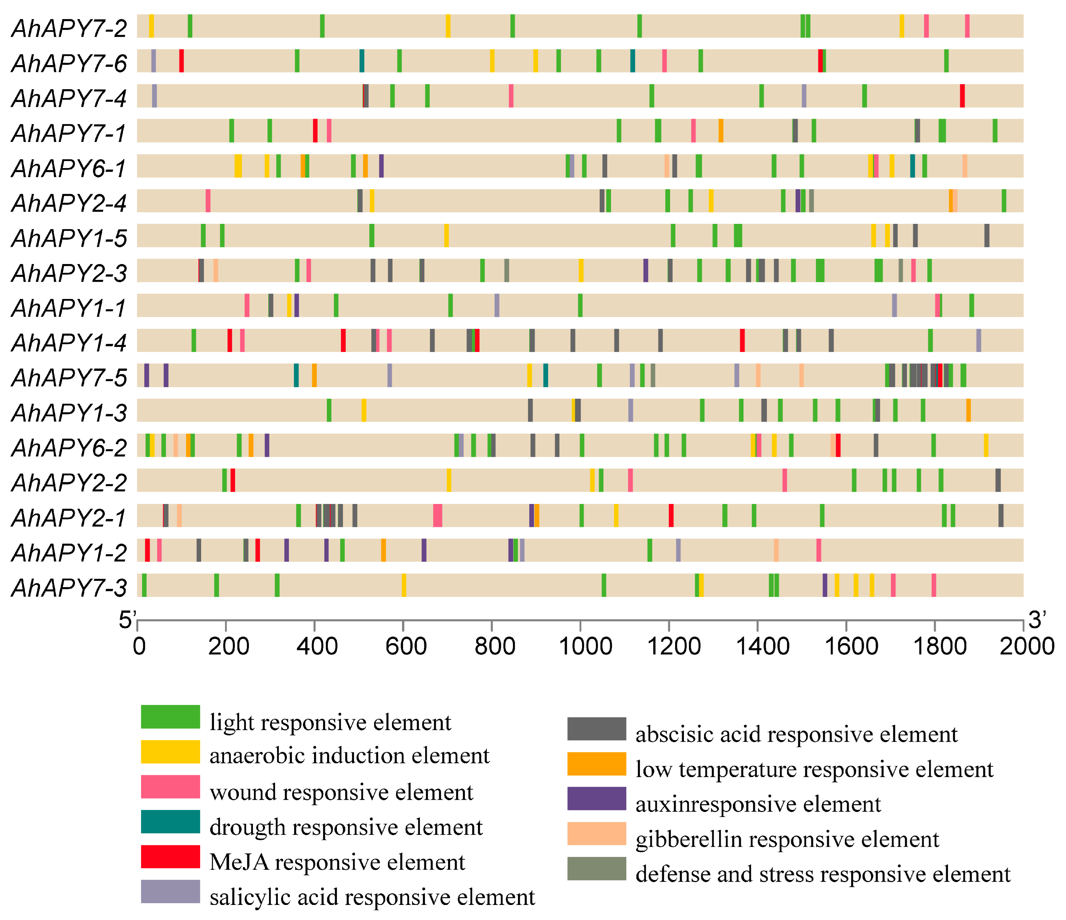 Ijms 24 04622 g006 Ijms 24 04622 g006