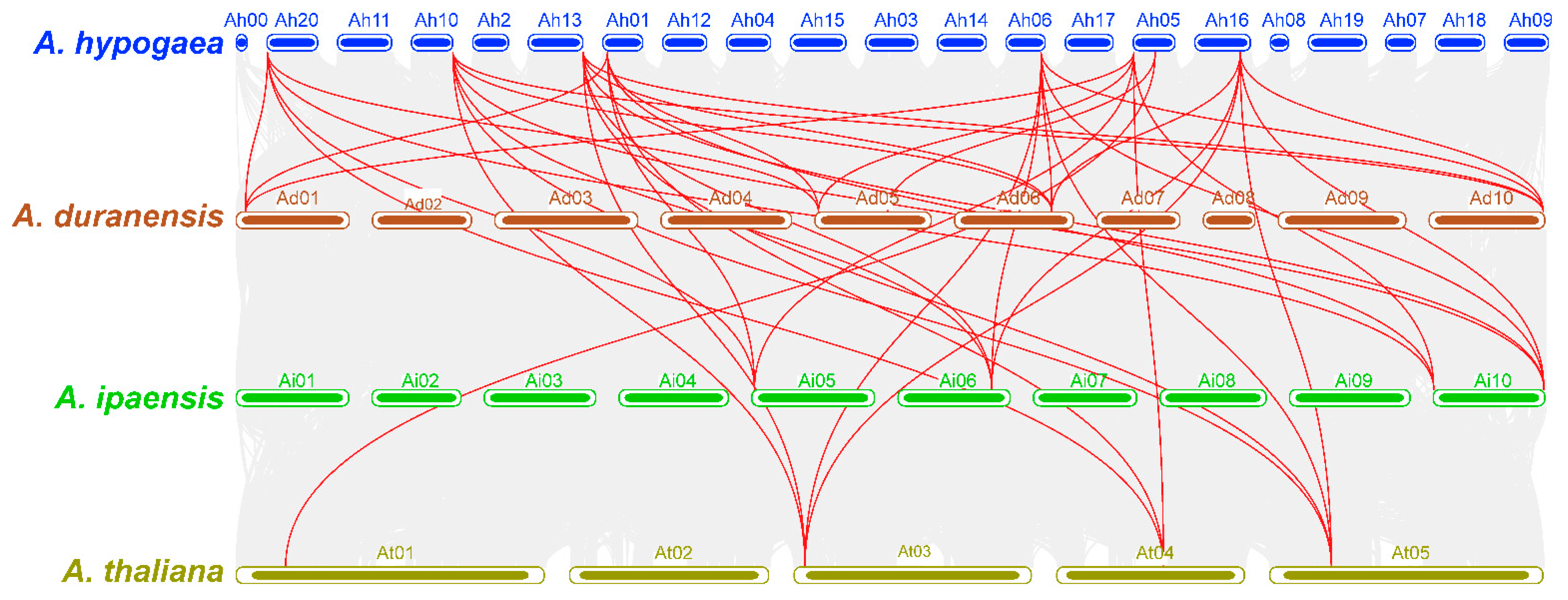 Ijms 24 04622 g007 Ijms 24 04622 g007