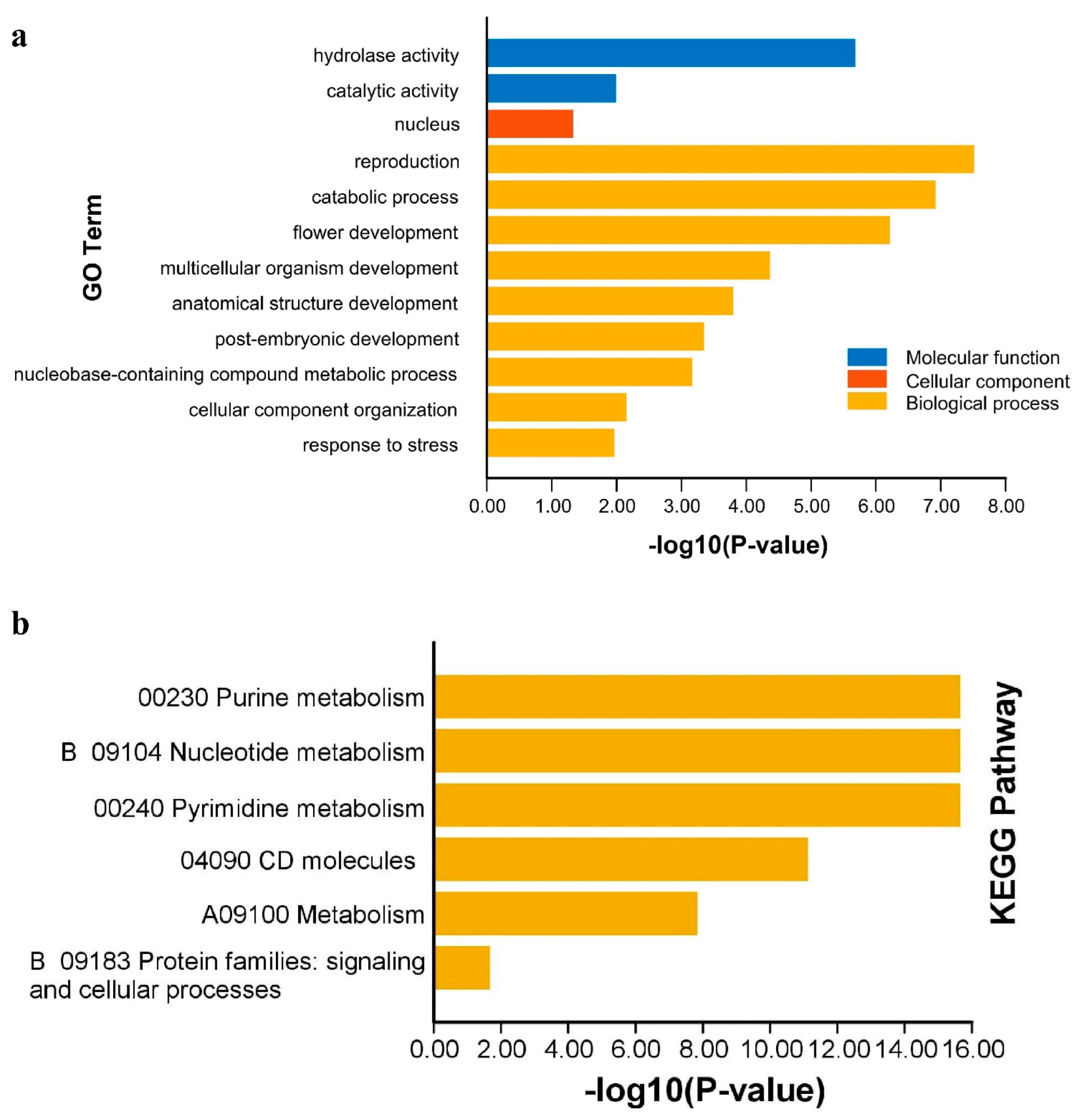 Ijms 24 04622 g008 Ijms 24 04622 g008