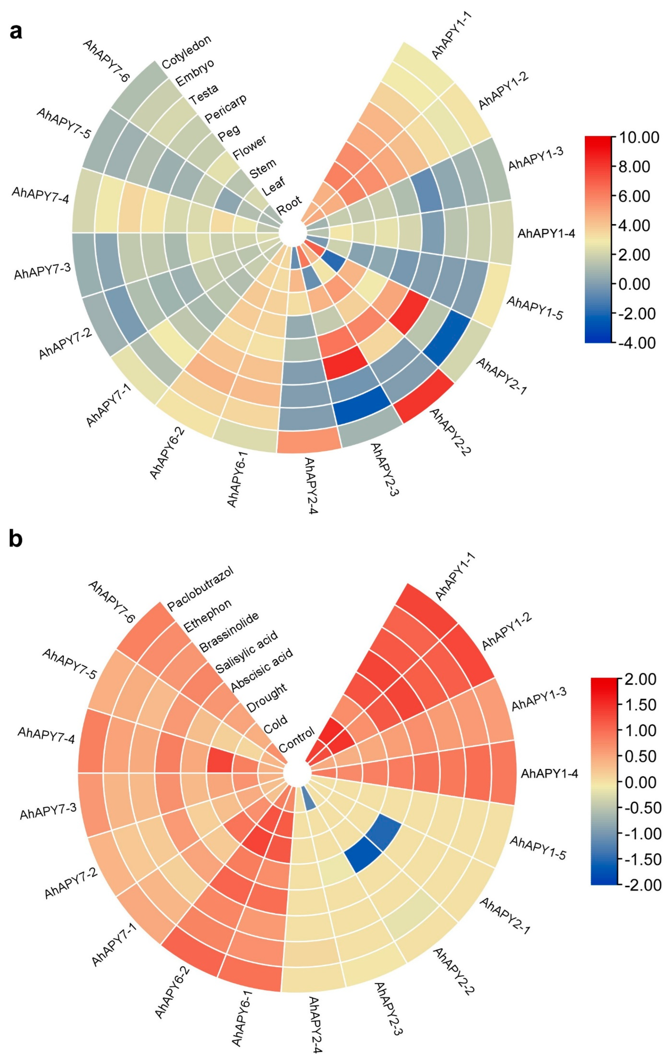 Ijms 24 04622 g009 Ijms 24 04622 g009