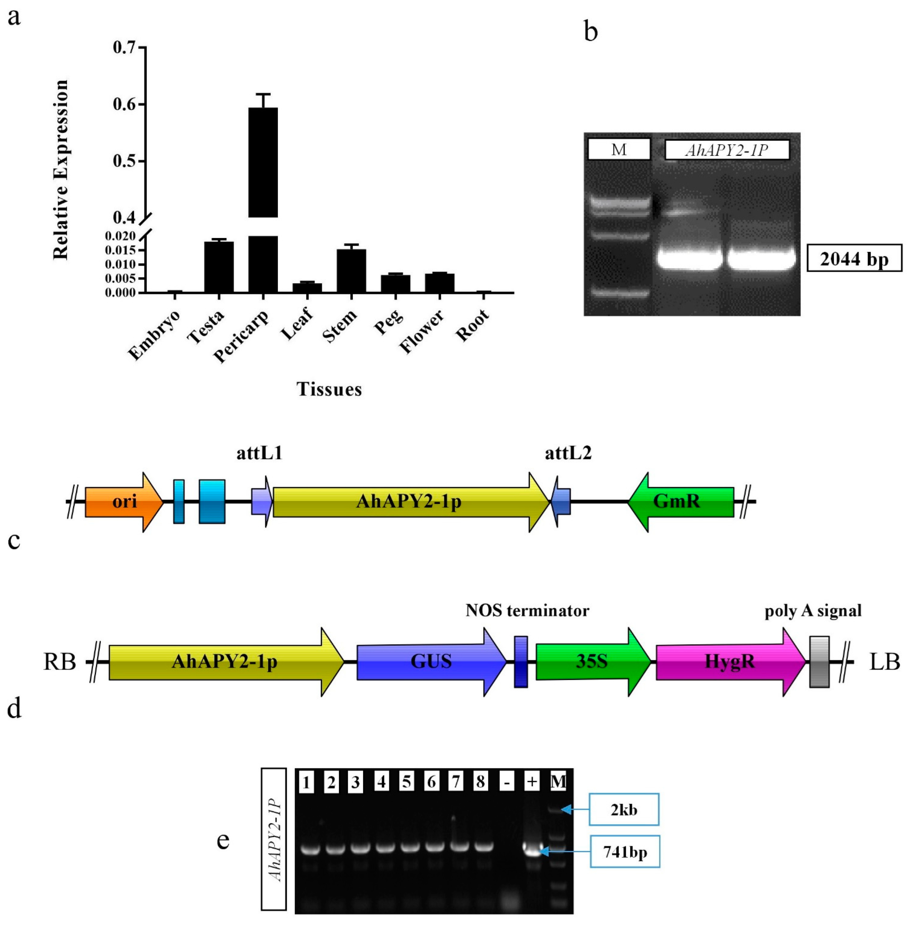 Ijms 24 04622 g011 Ijms 24 04622 g011