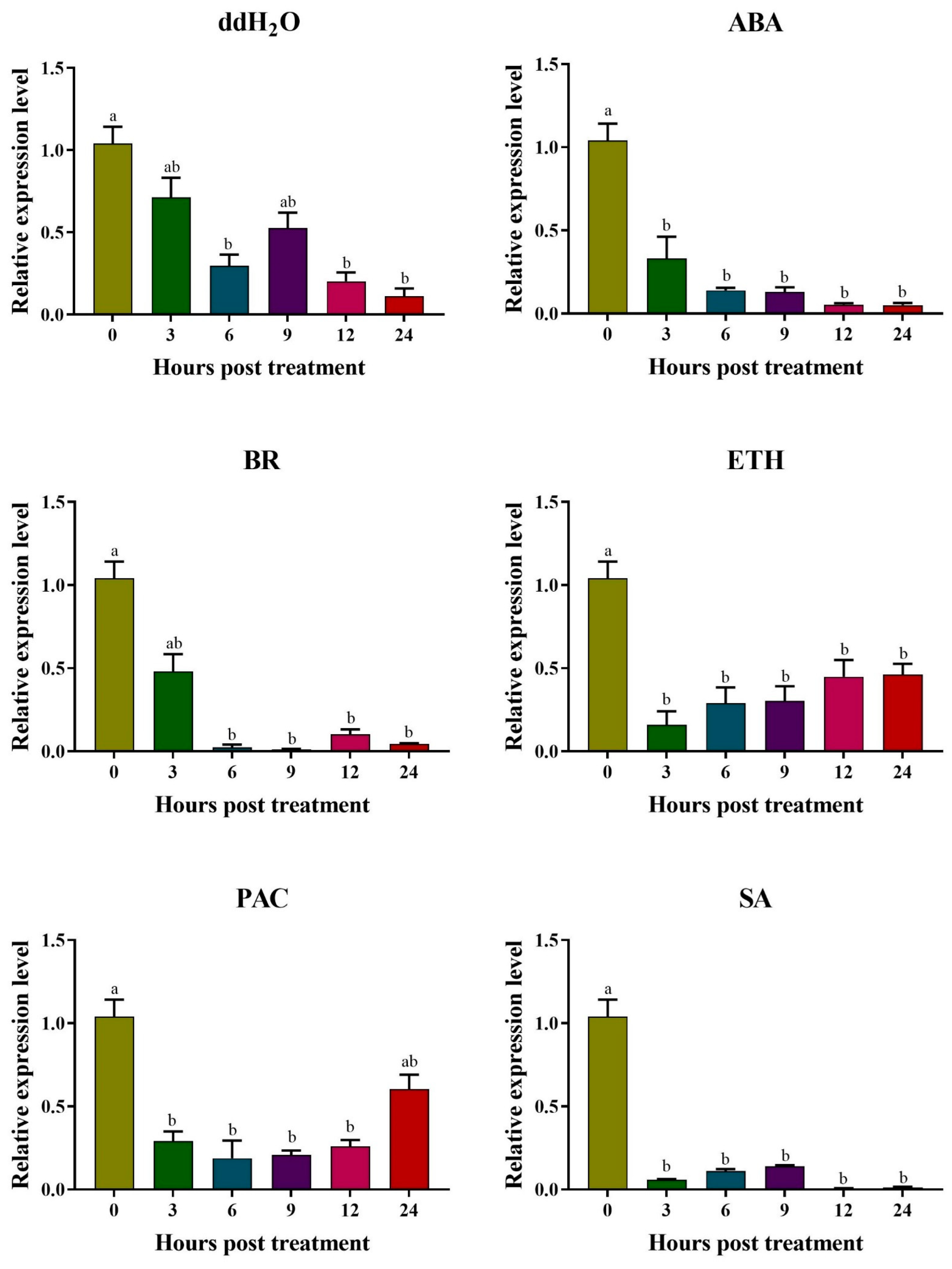 Ijms 24 04622 g013 Ijms 24 04622 g013