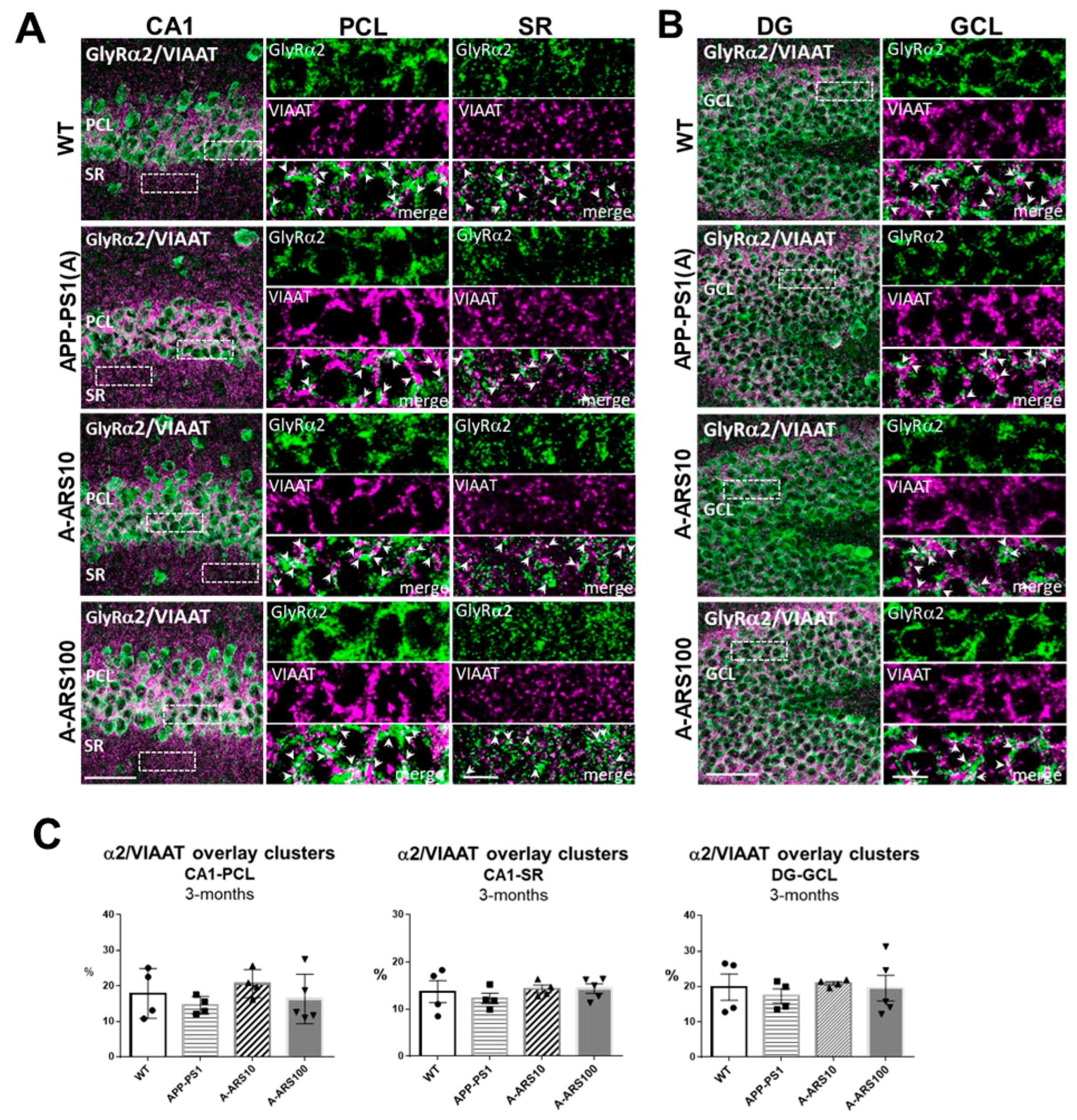 Ijms 24 04623 g002 Ijms 24 04623 g002