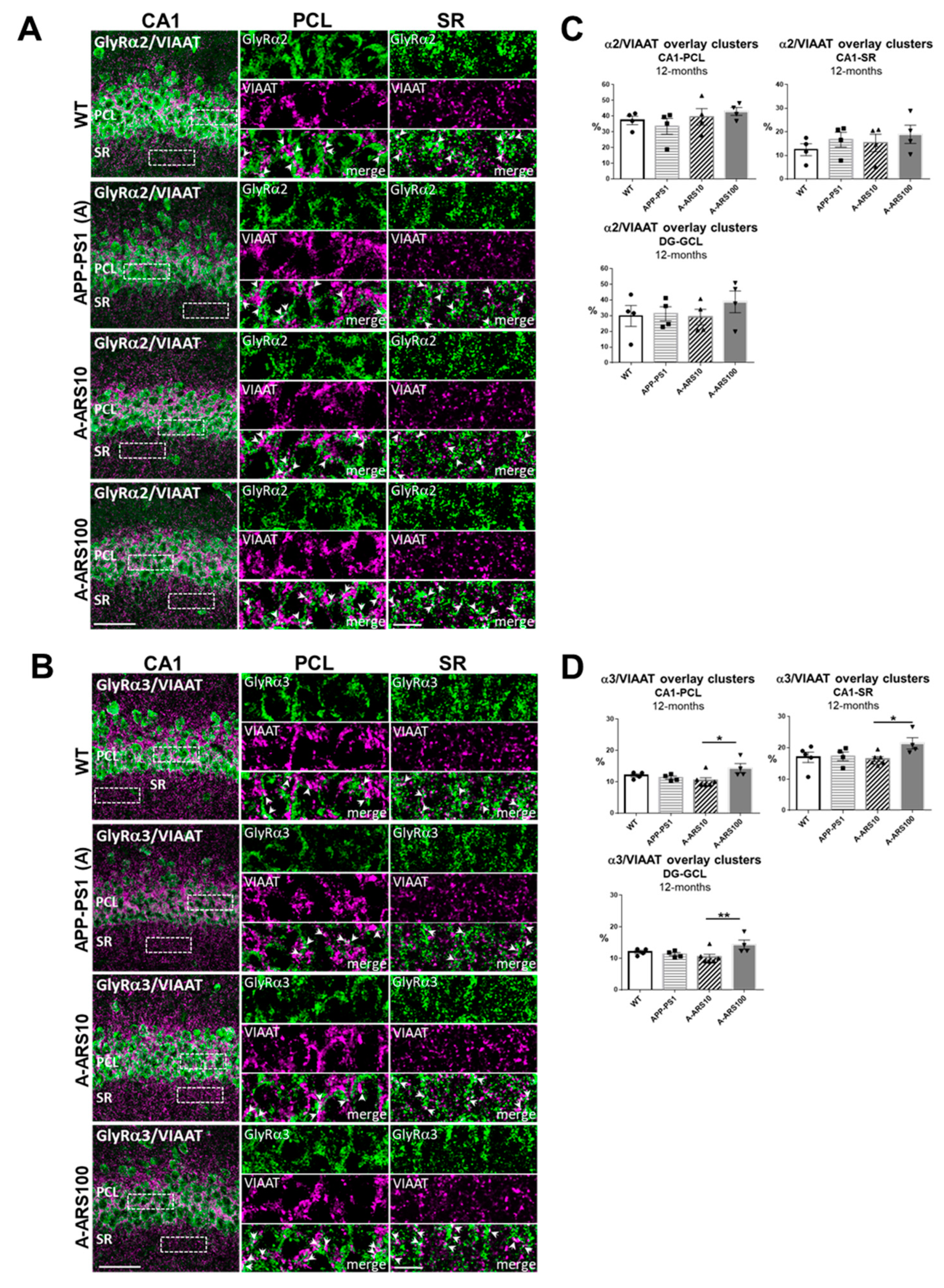 Ijms 24 04623 g005 Ijms 24 04623 g005