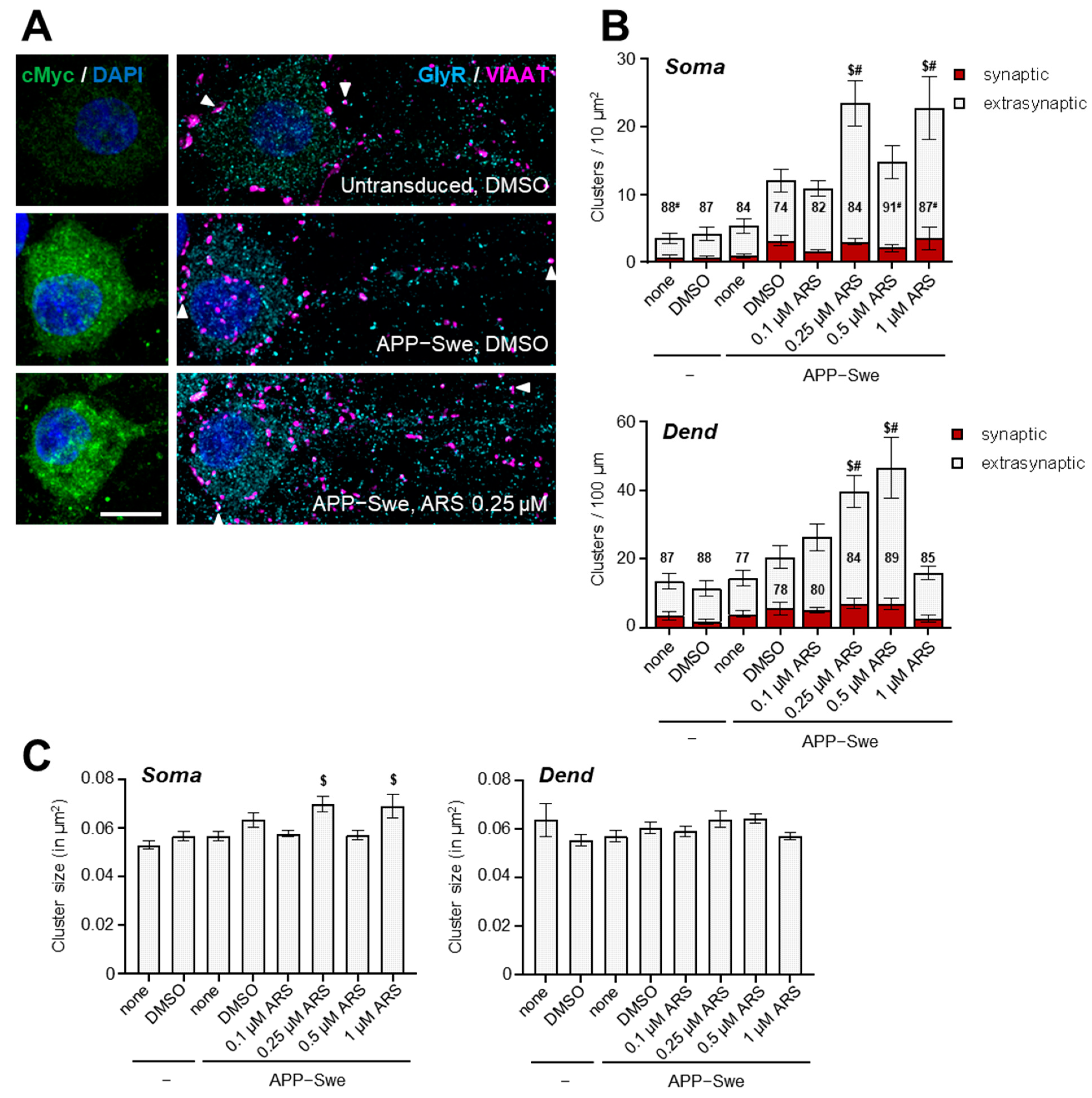Ijms 24 04623 g006 Ijms 24 04623 g006