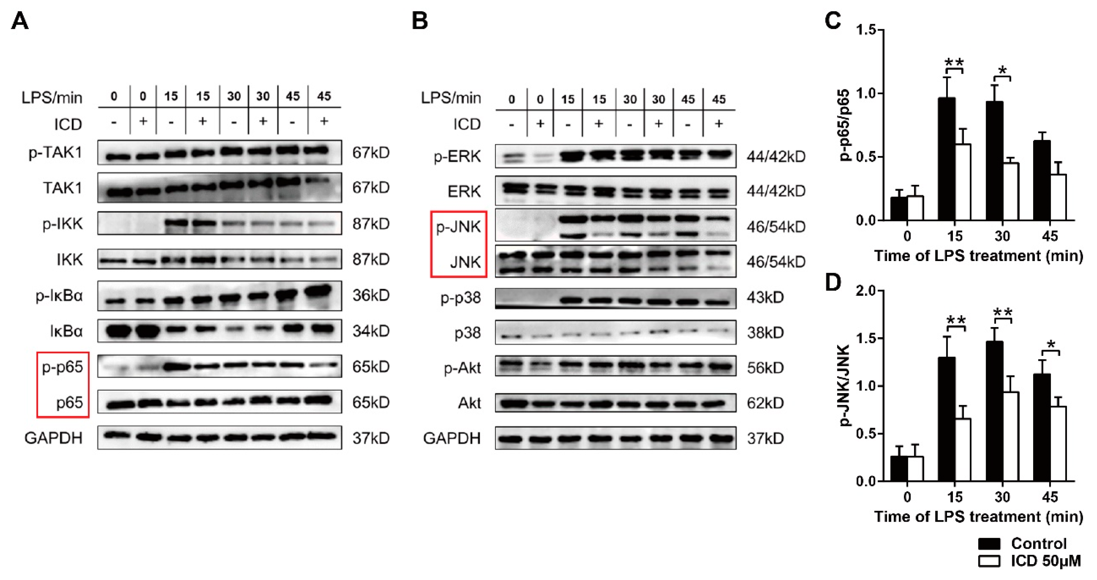 Ijms 24 04629 g005 Ijms 24 04629 g005