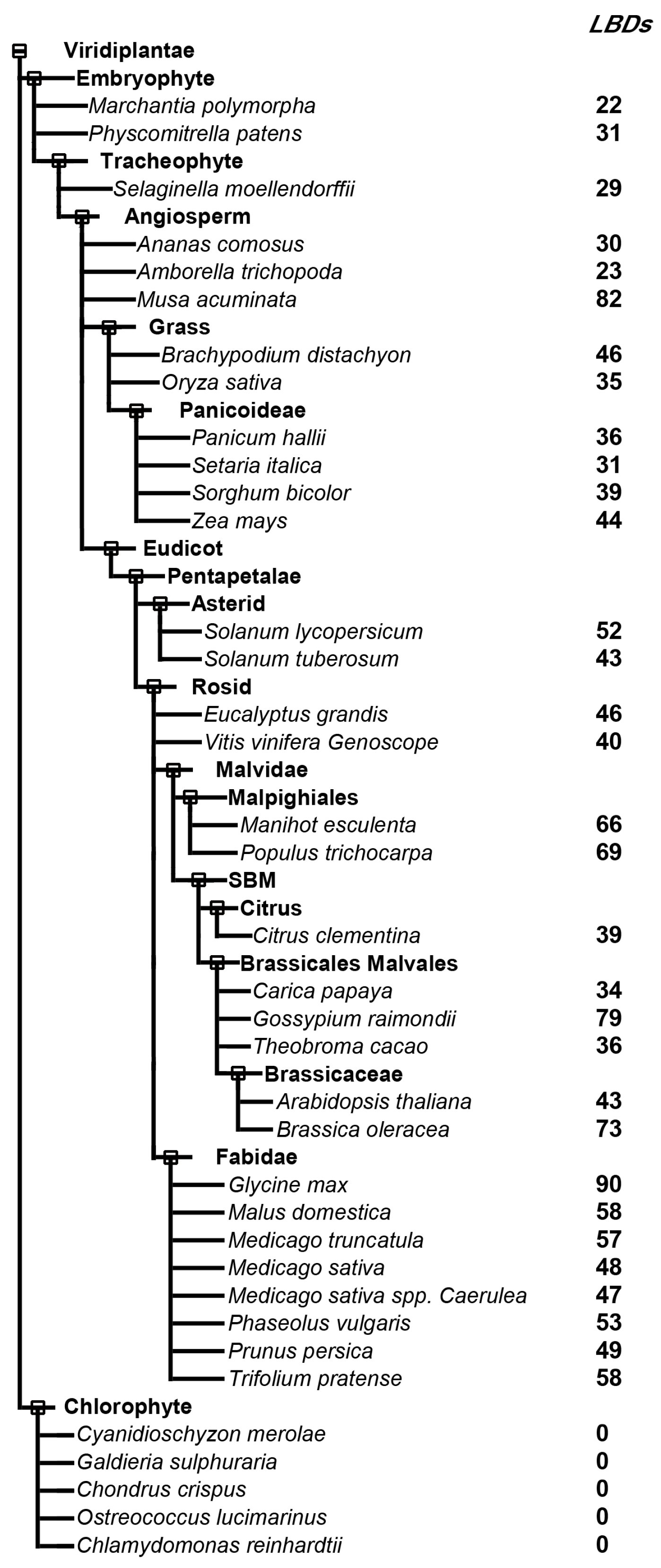 Ijms 24 04644 g002 Ijms 24 04644 g002