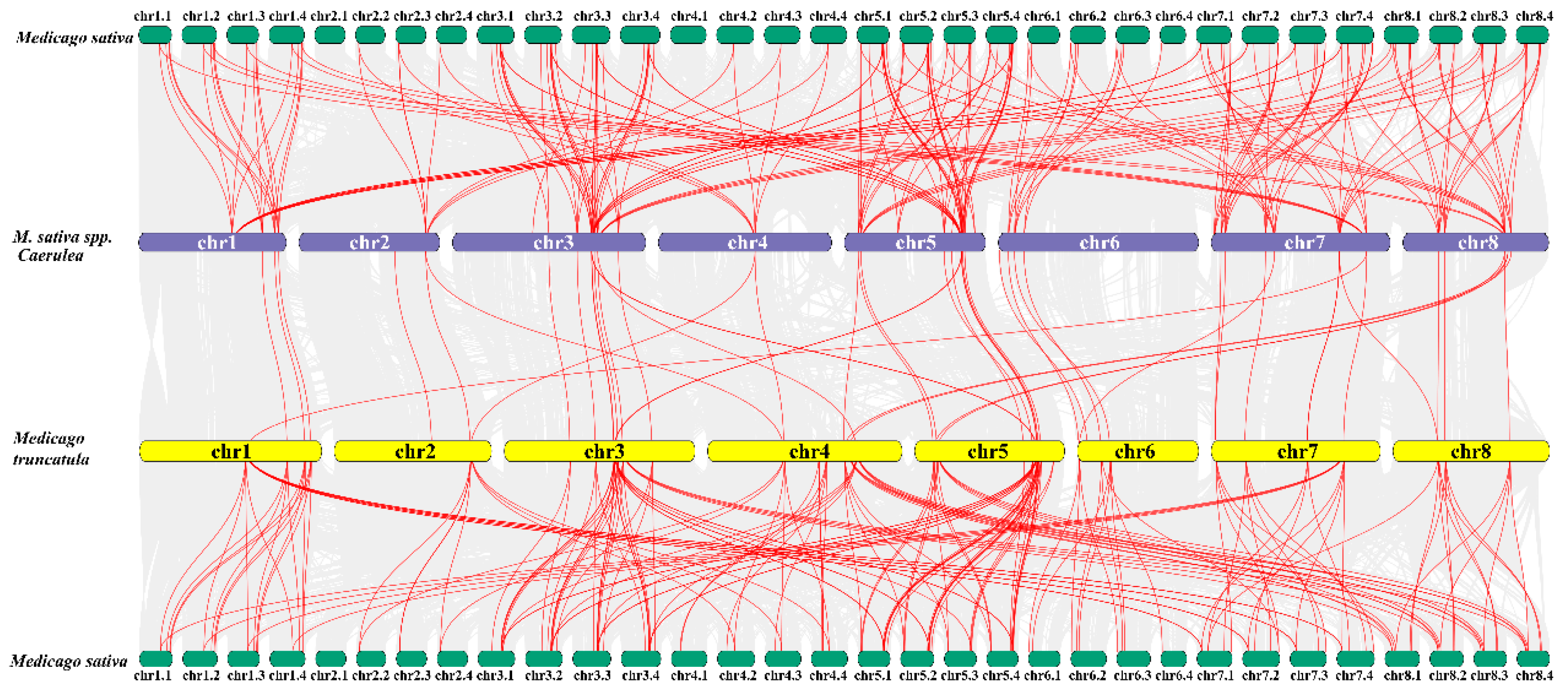 Ijms 24 04644 g003 Ijms 24 04644 g003