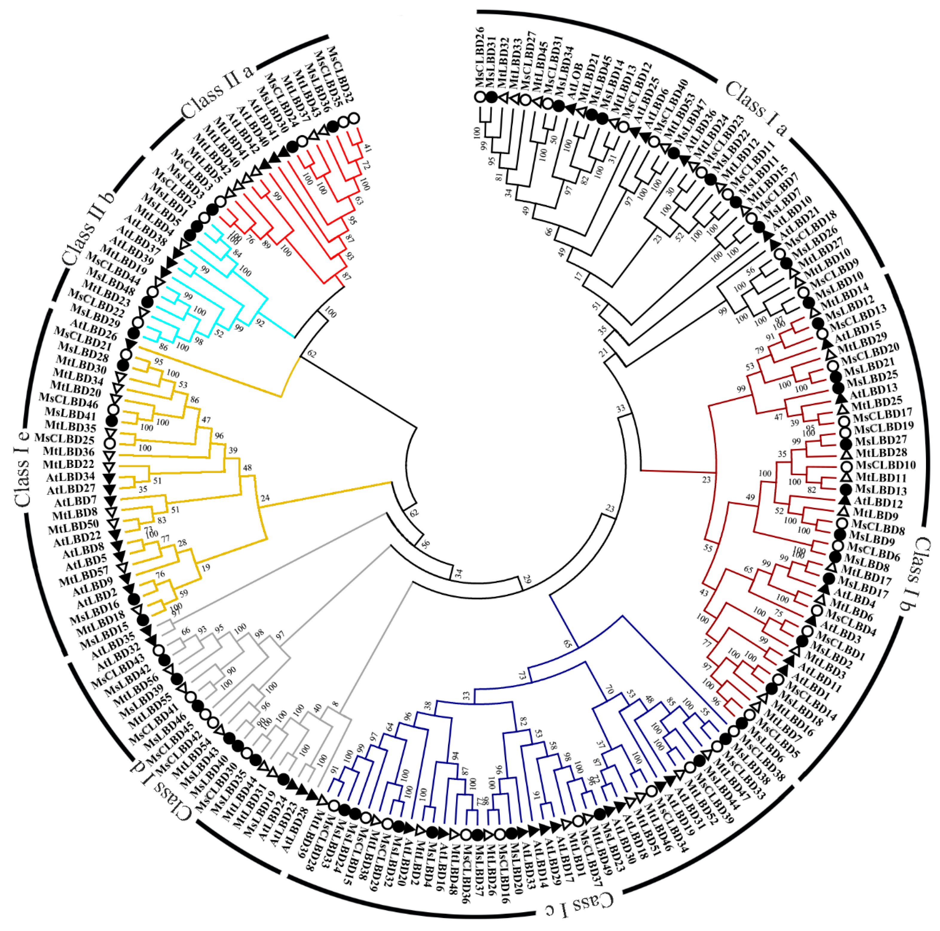 Ijms 24 04644 g004 Ijms 24 04644 g004