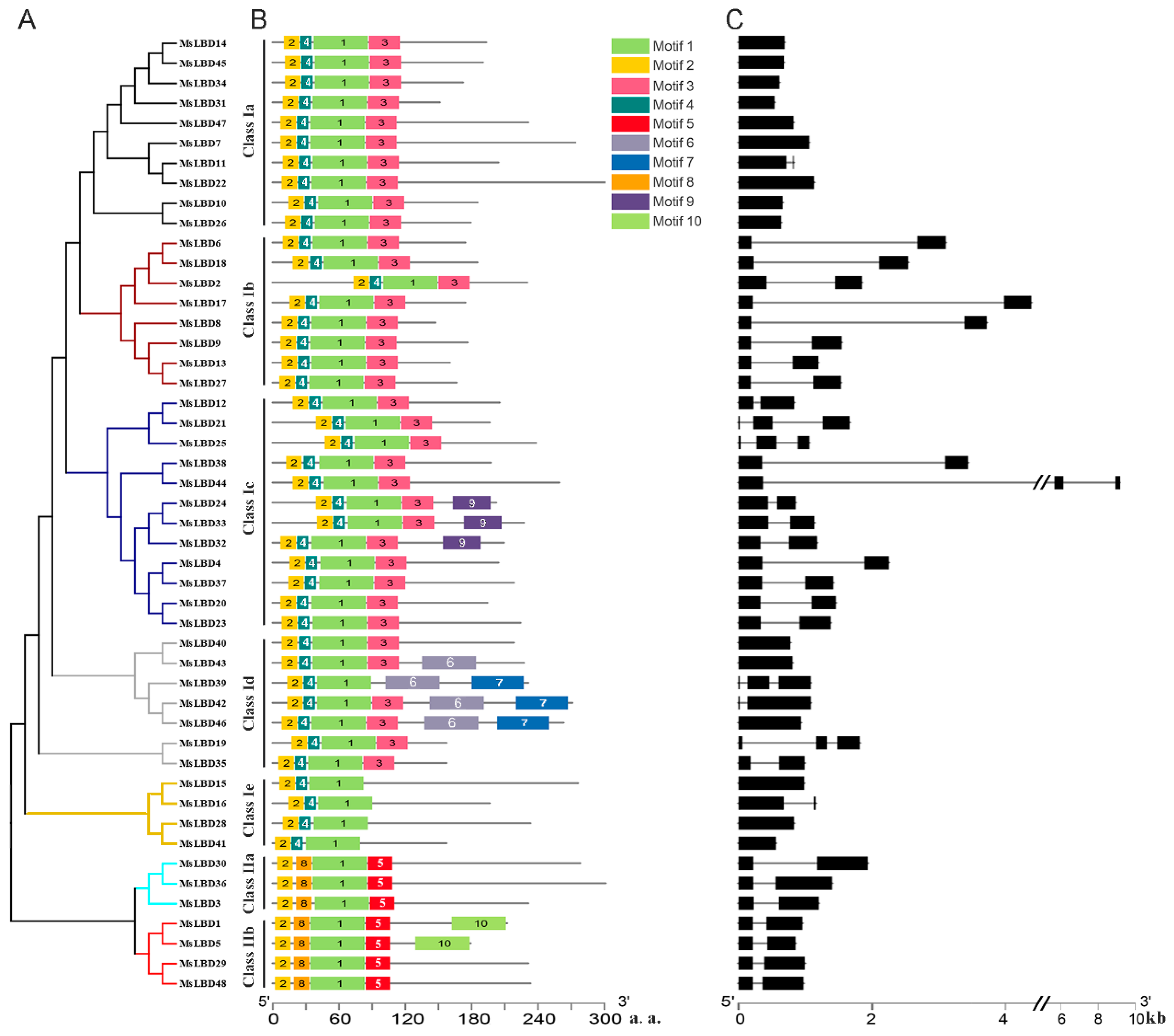 Ijms 24 04644 g006 Ijms 24 04644 g006
