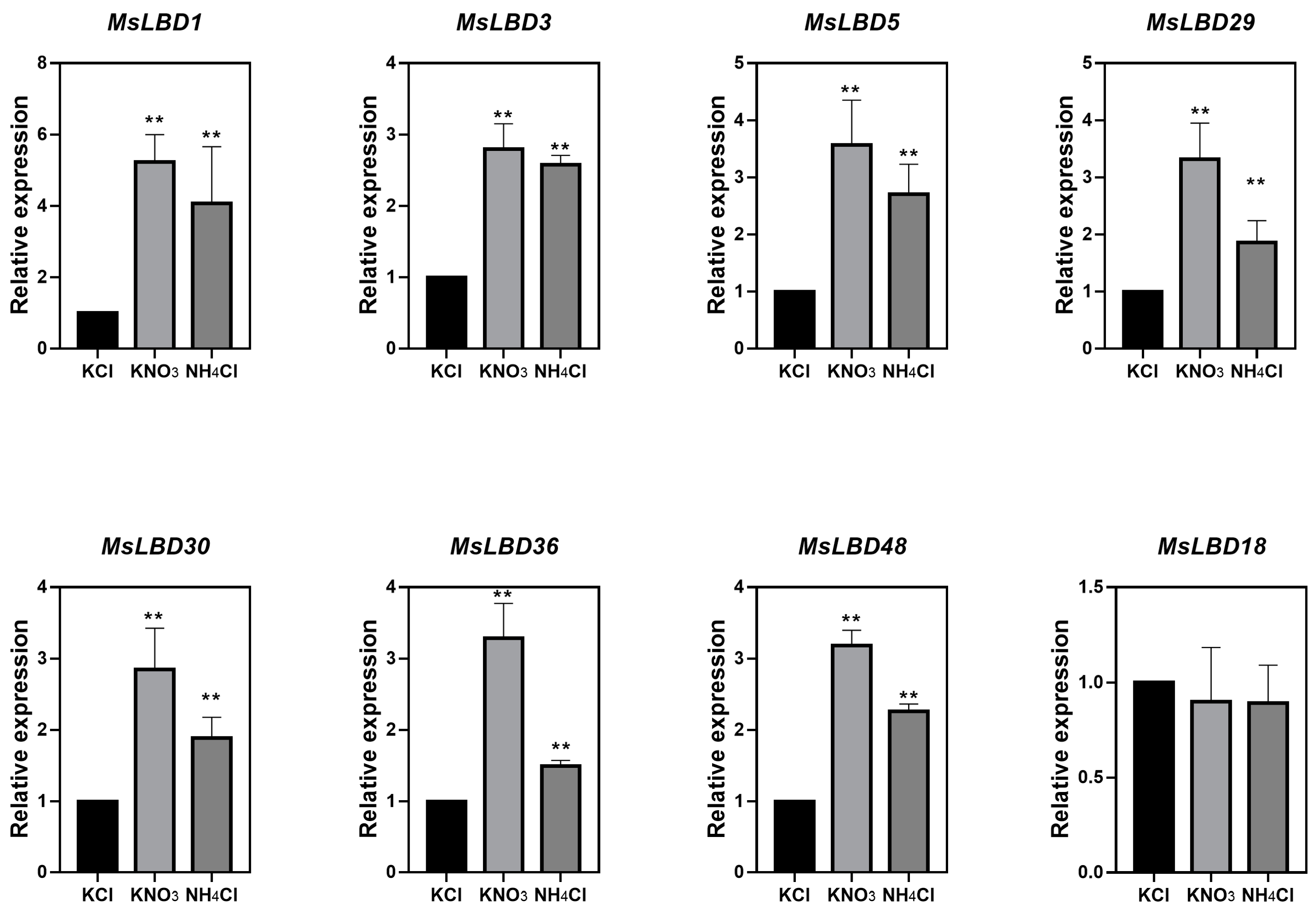 Ijms 24 04644 g007 Ijms 24 04644 g007