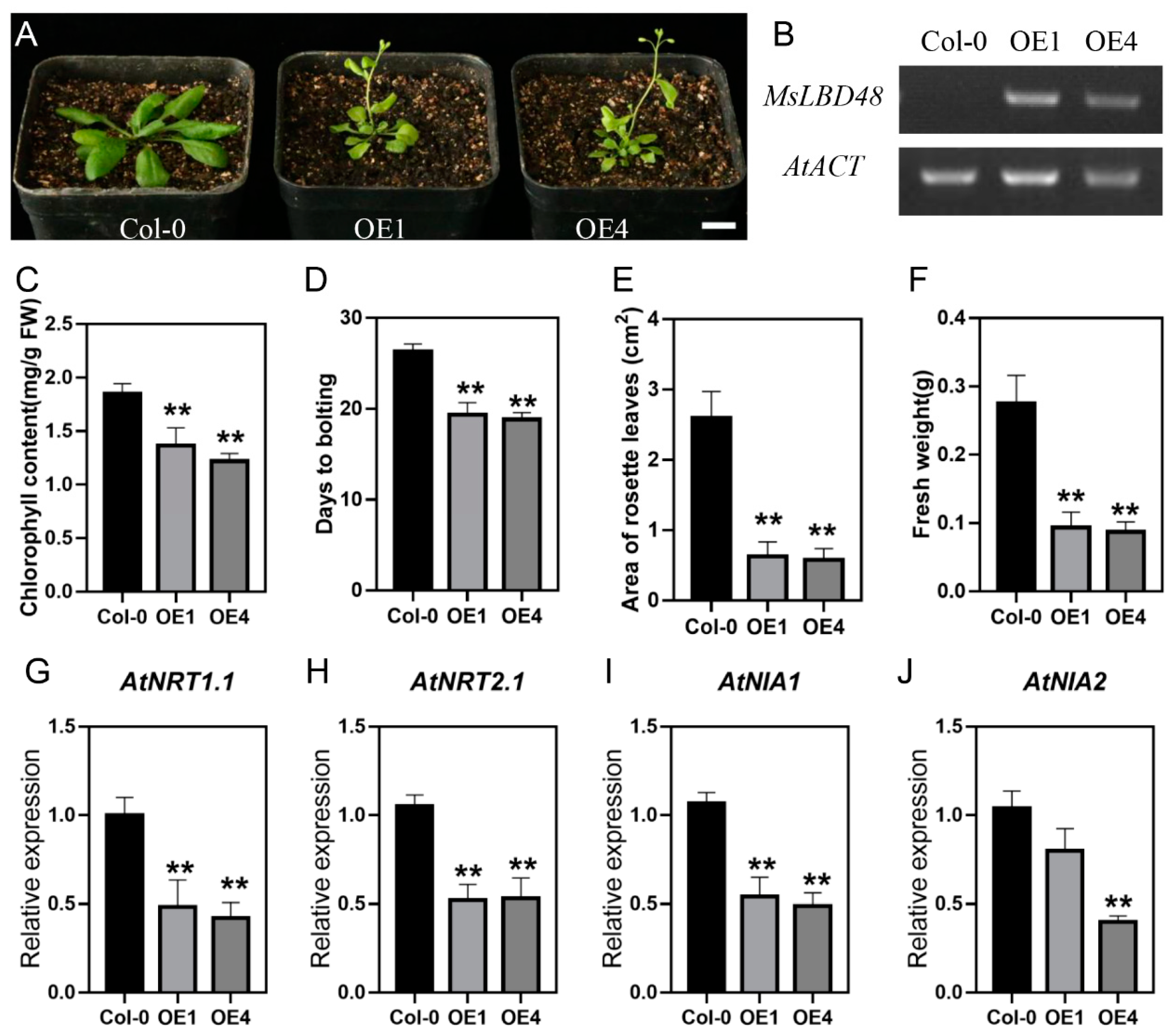 Ijms 24 04644 g009 Ijms 24 04644 g009