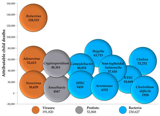 IJMS | Free Full-Text | Toward a Shigella Vaccine: Opportunities