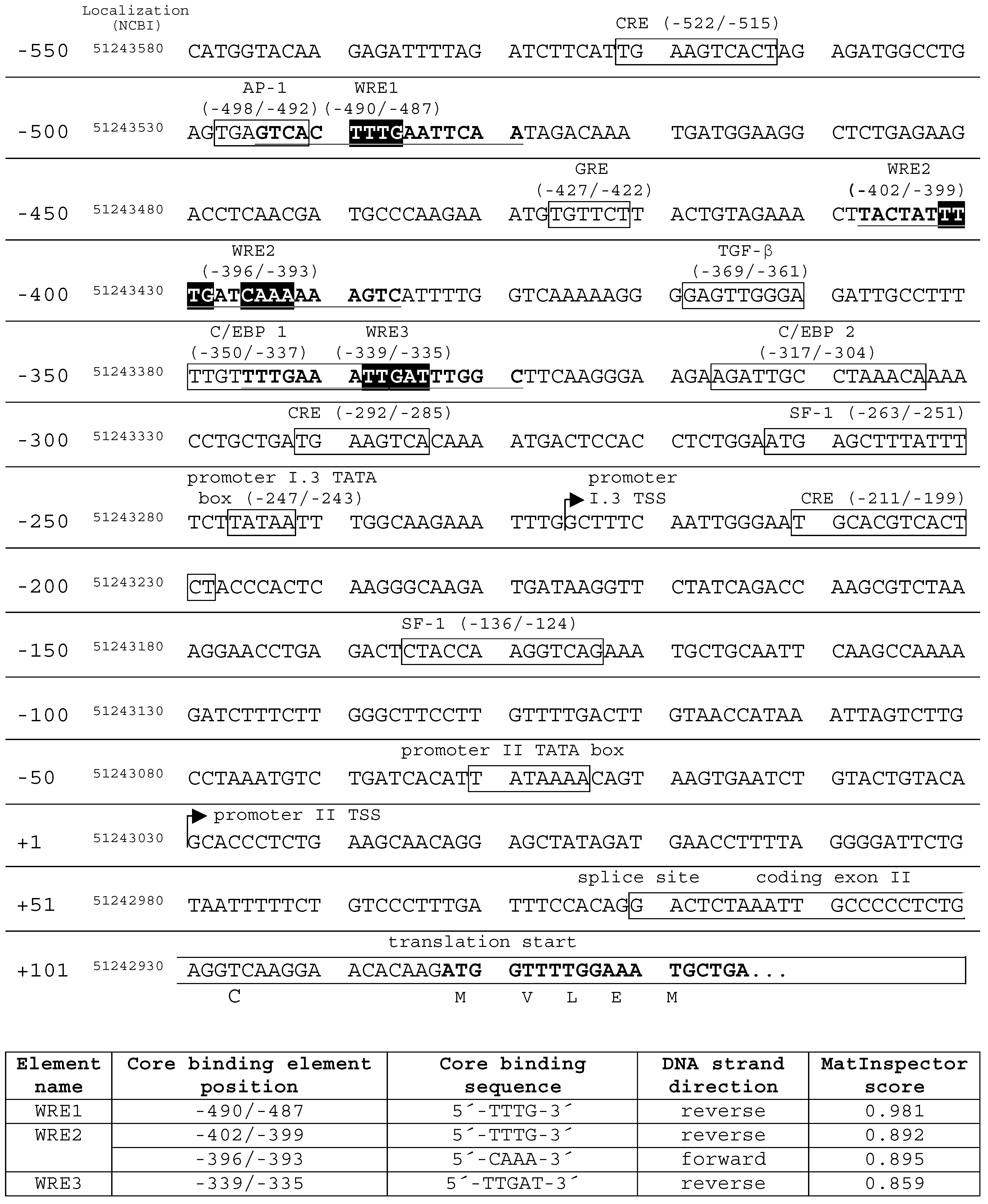 Ijms 24 04654 g003 Ijms 24 04654 g003