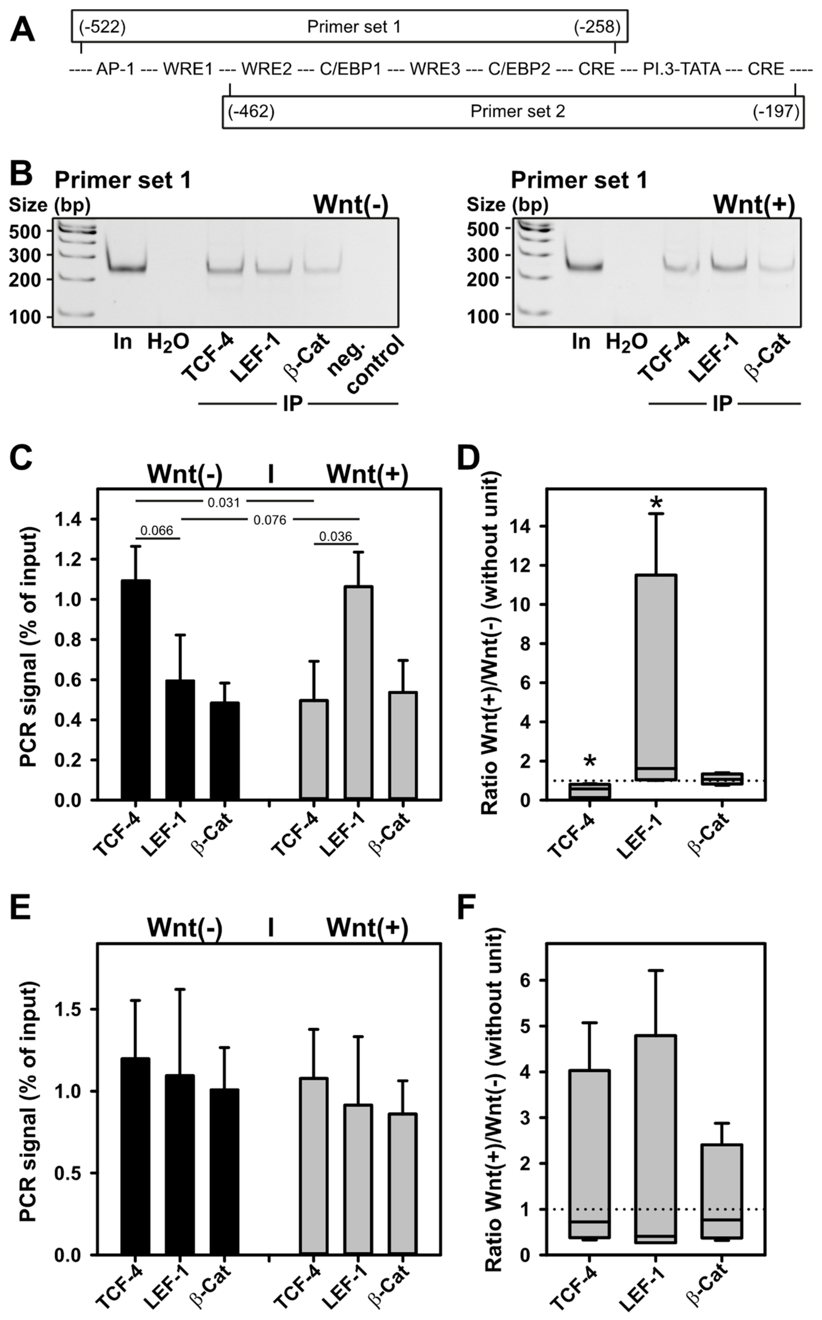 Ijms 24 04654 g005 Ijms 24 04654 g005