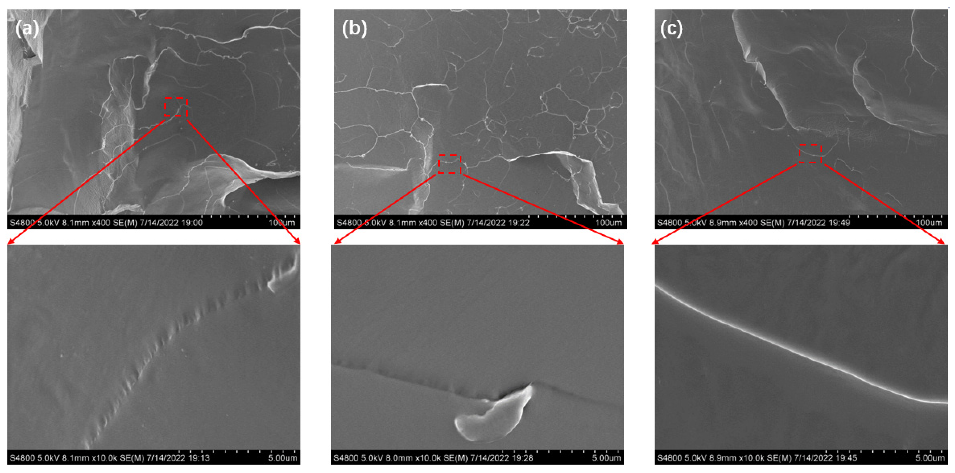 Ijms 24 04662 g006 Ijms 24 04662 g006