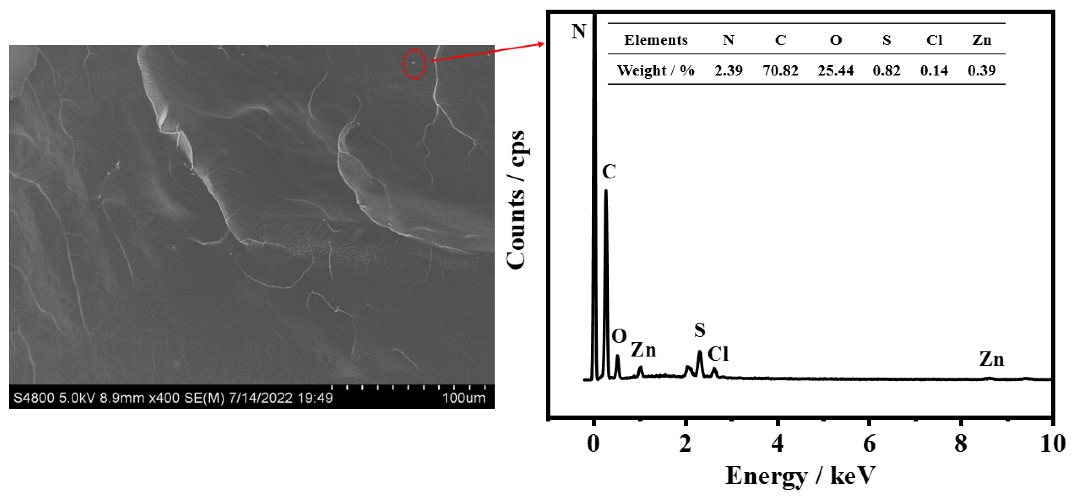 Ijms 24 04662 g007 Ijms 24 04662 g007