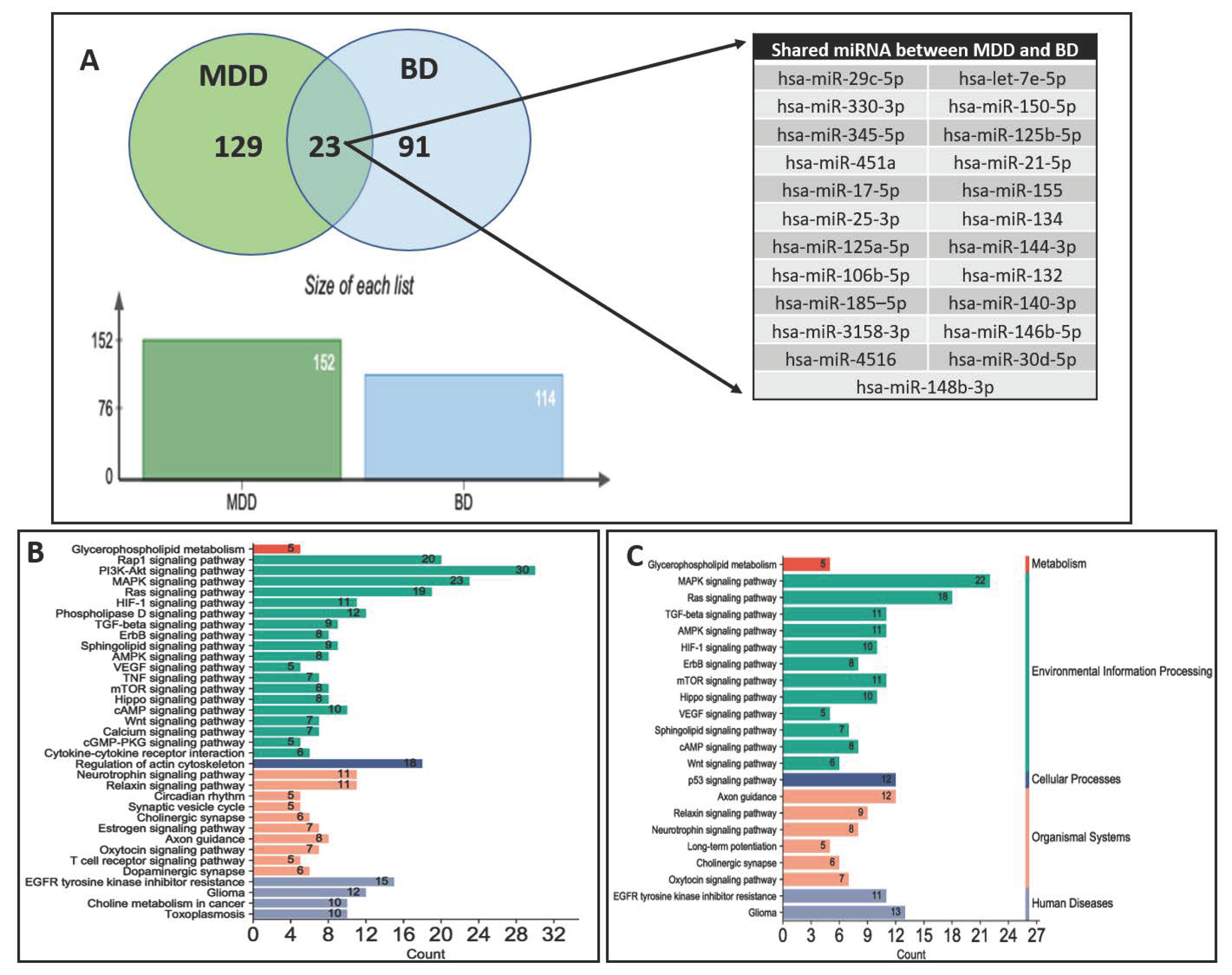 Ijms 24 04664 g001 Ijms 24 04664 g001