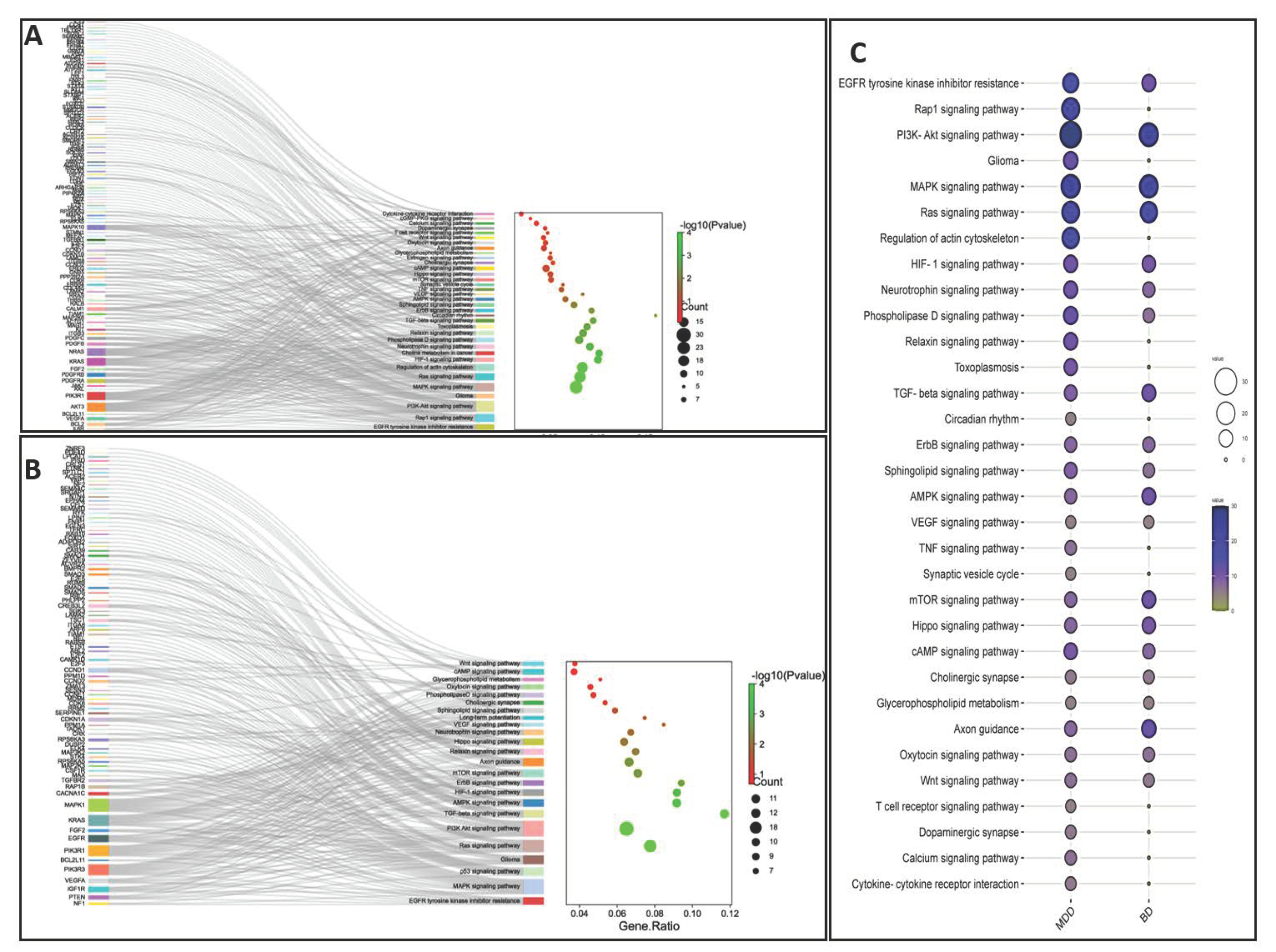 Ijms 24 04664 g002 Ijms 24 04664 g002