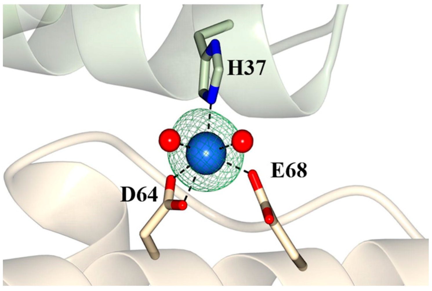 Ijms 24 04669 g005 Ijms 24 04669 g005