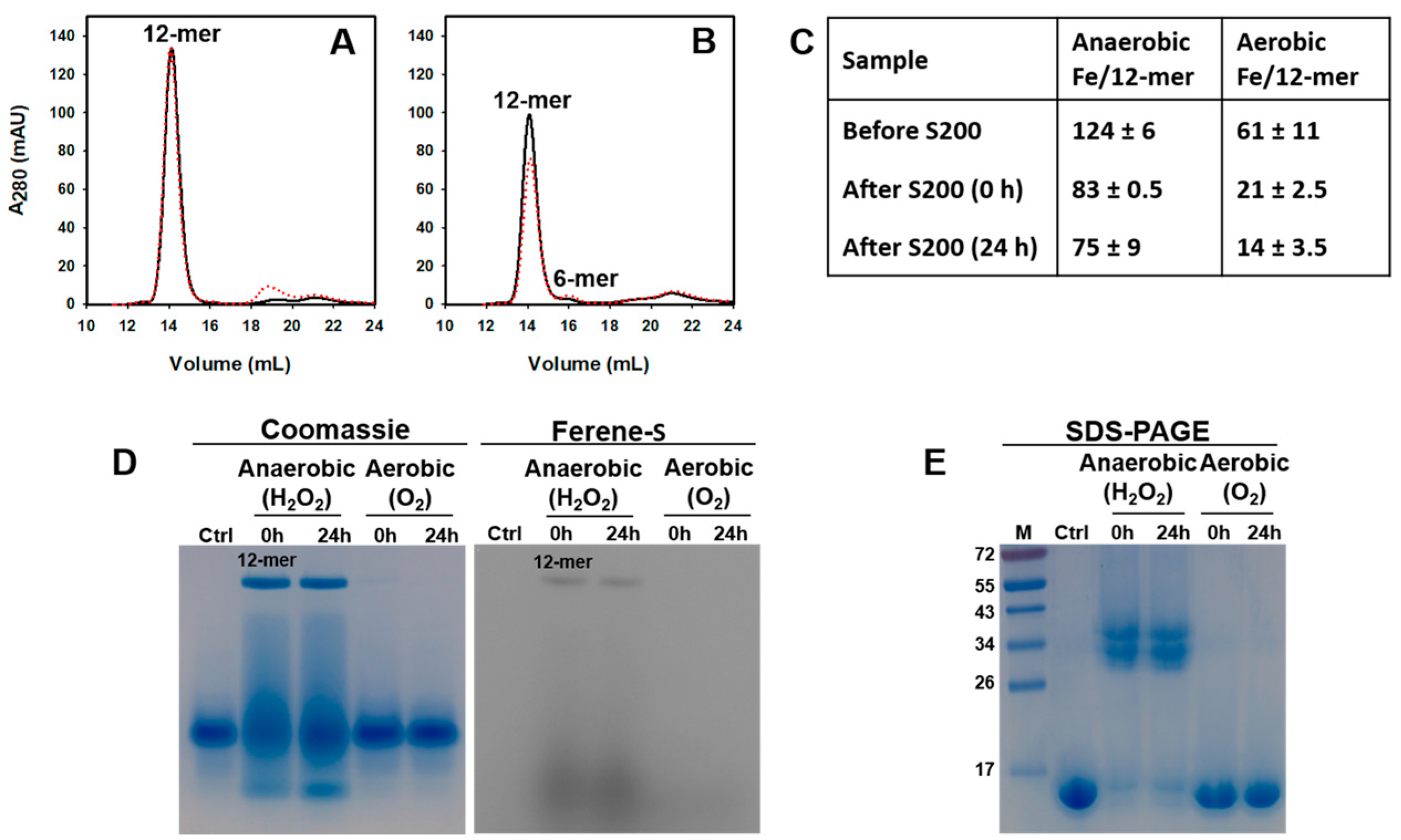 Ijms 24 04669 g006 Ijms 24 04669 g006