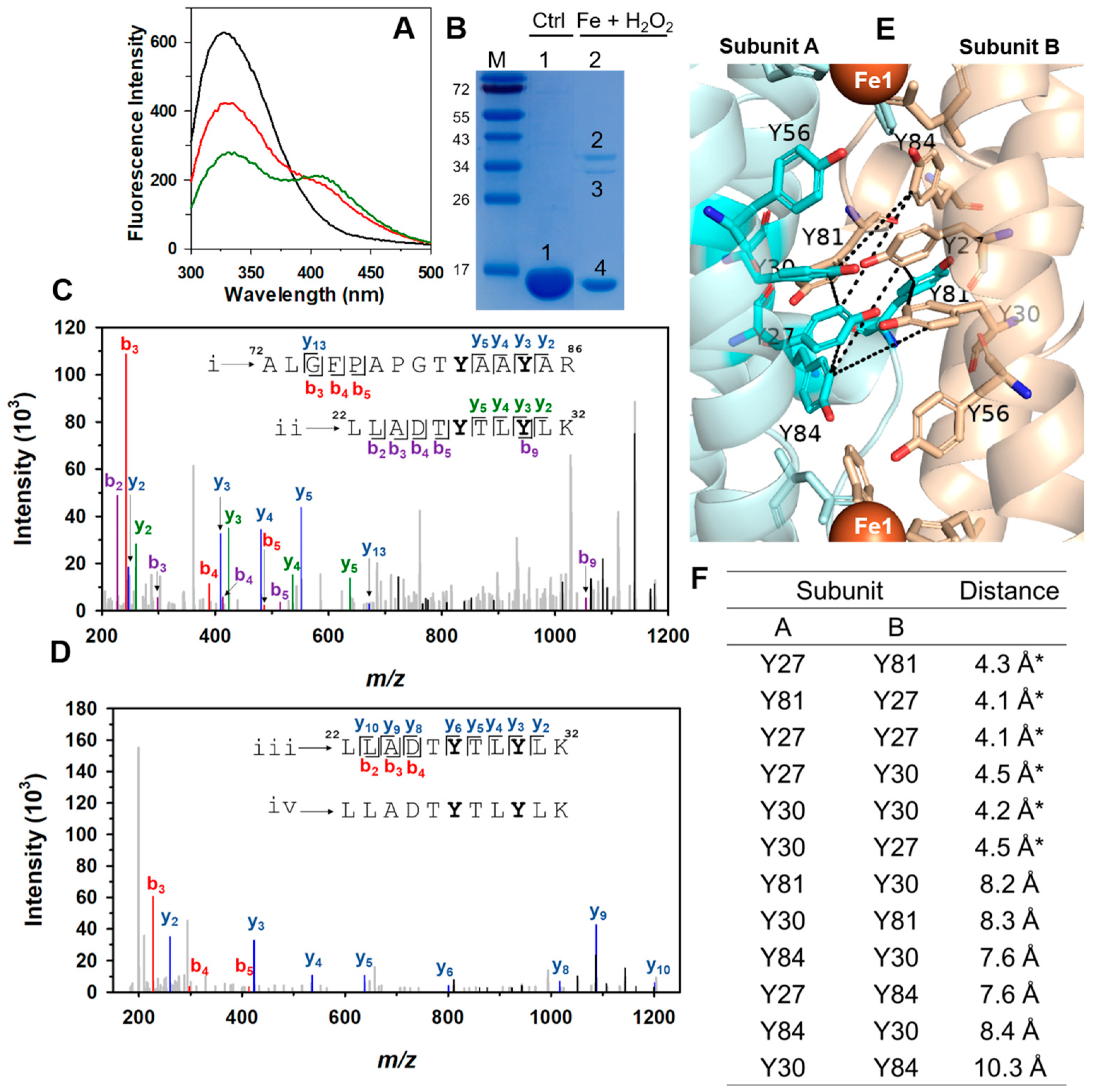 Ijms 24 04669 g007 Ijms 24 04669 g007