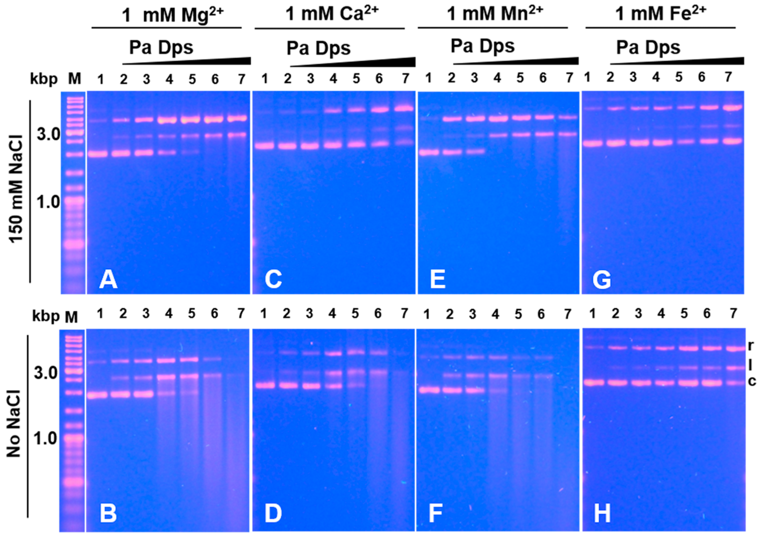 Ijms 24 04669 g009 Ijms 24 04669 g009
