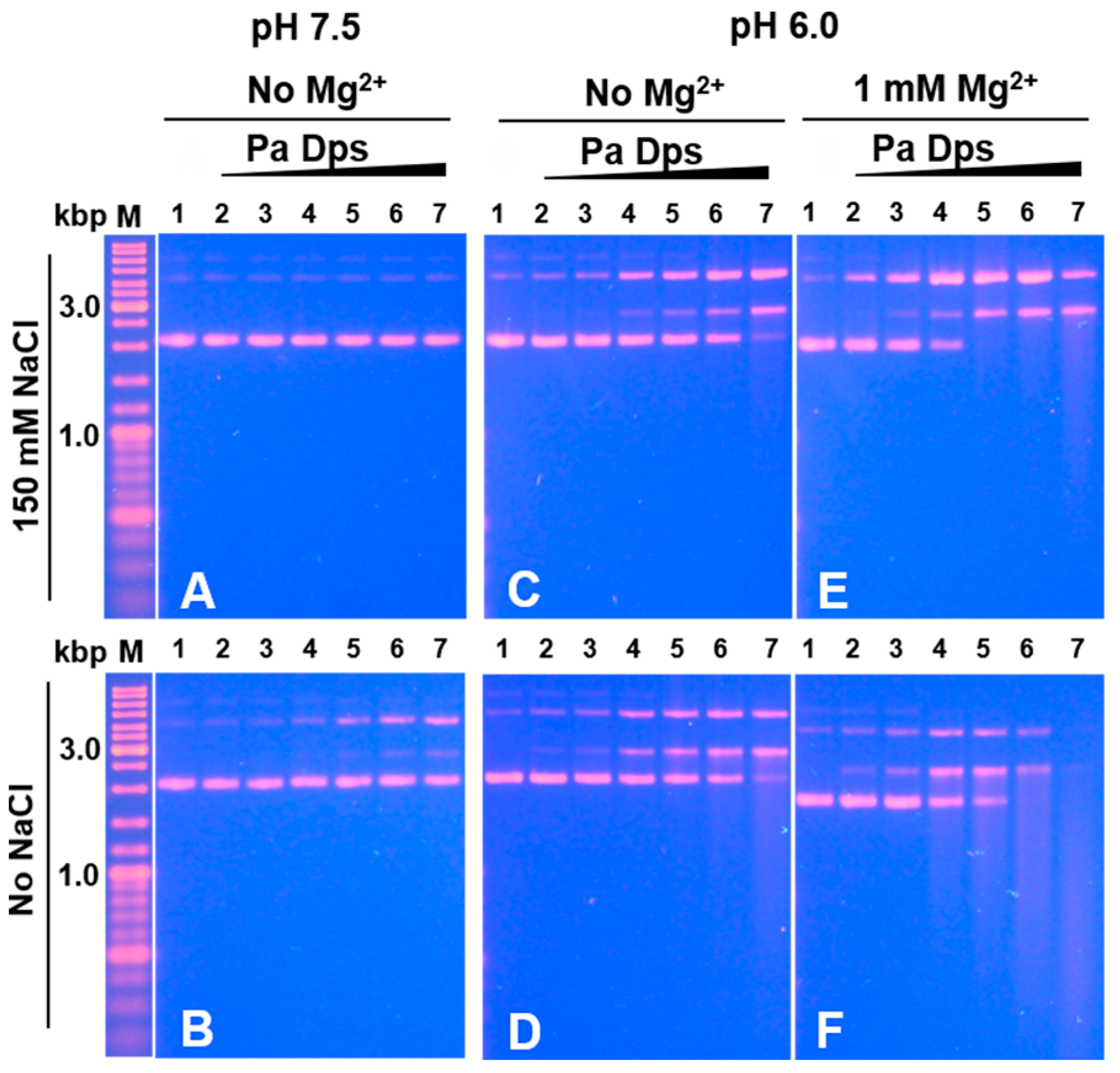 Ijms 24 04669 g010 Ijms 24 04669 g010