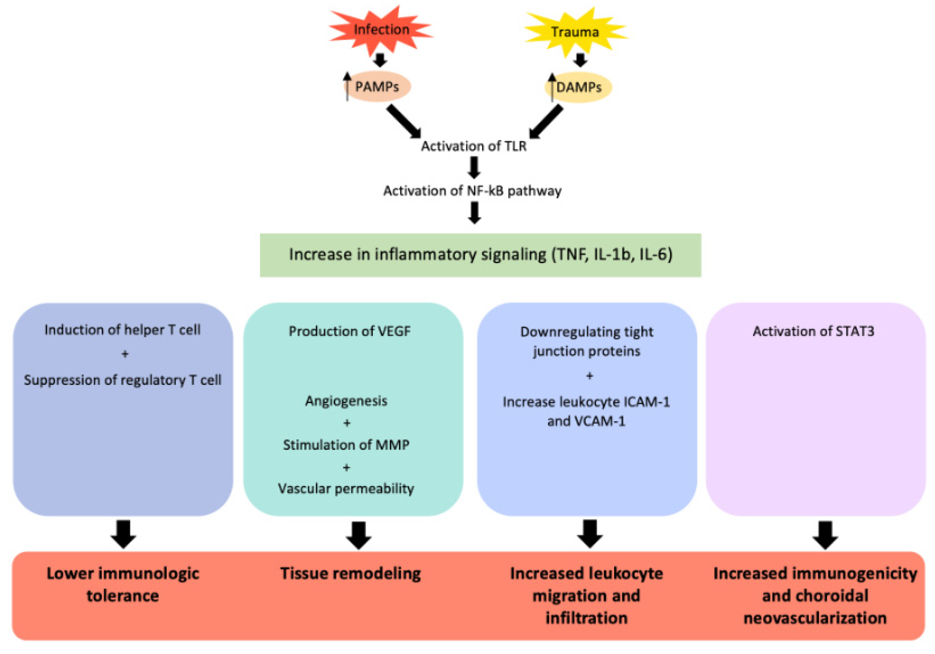 Ijms 24 04676 g002 Ijms 24 04676 g002