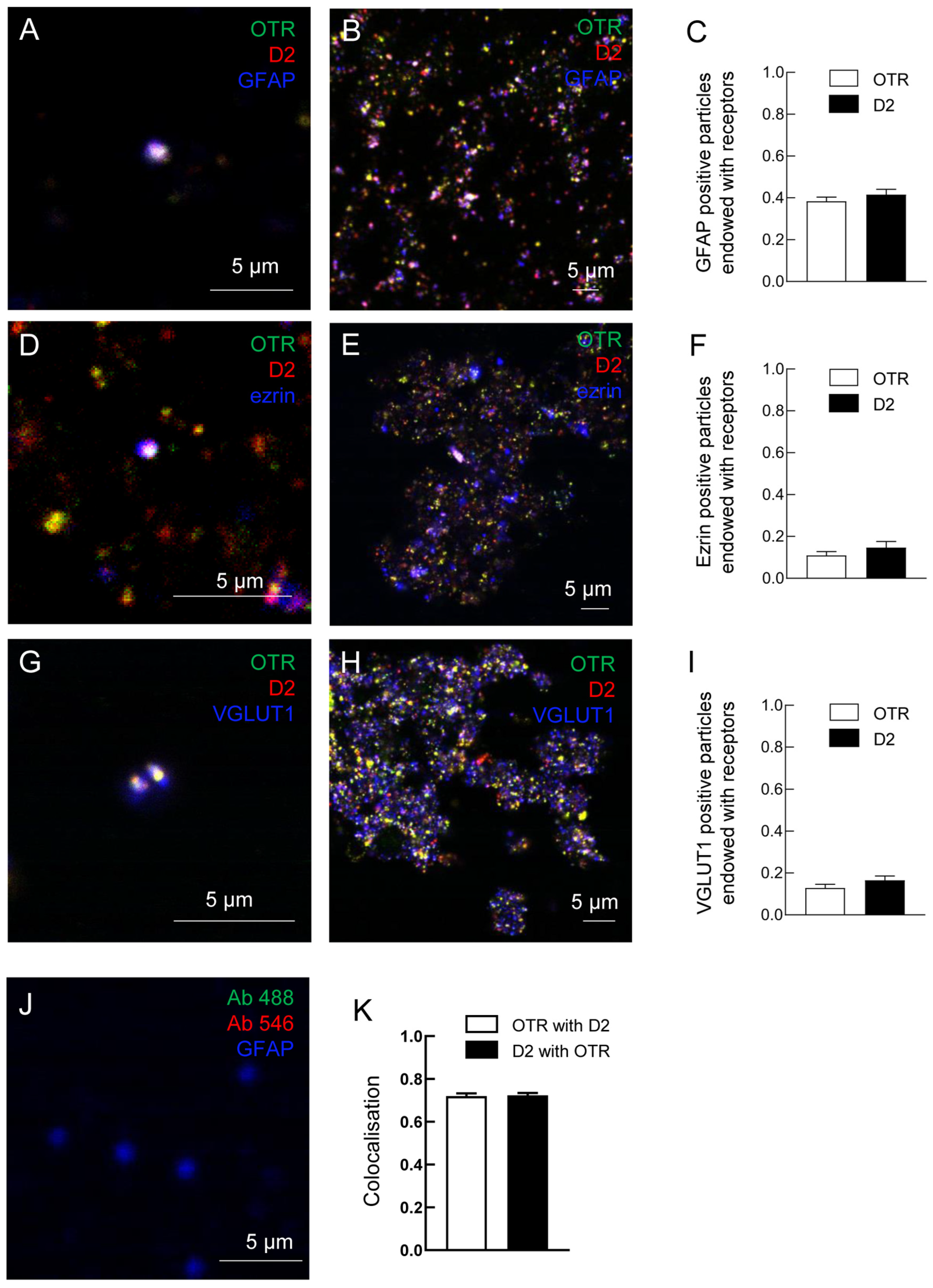 Ijms 24 04677 g002 Ijms 24 04677 g002