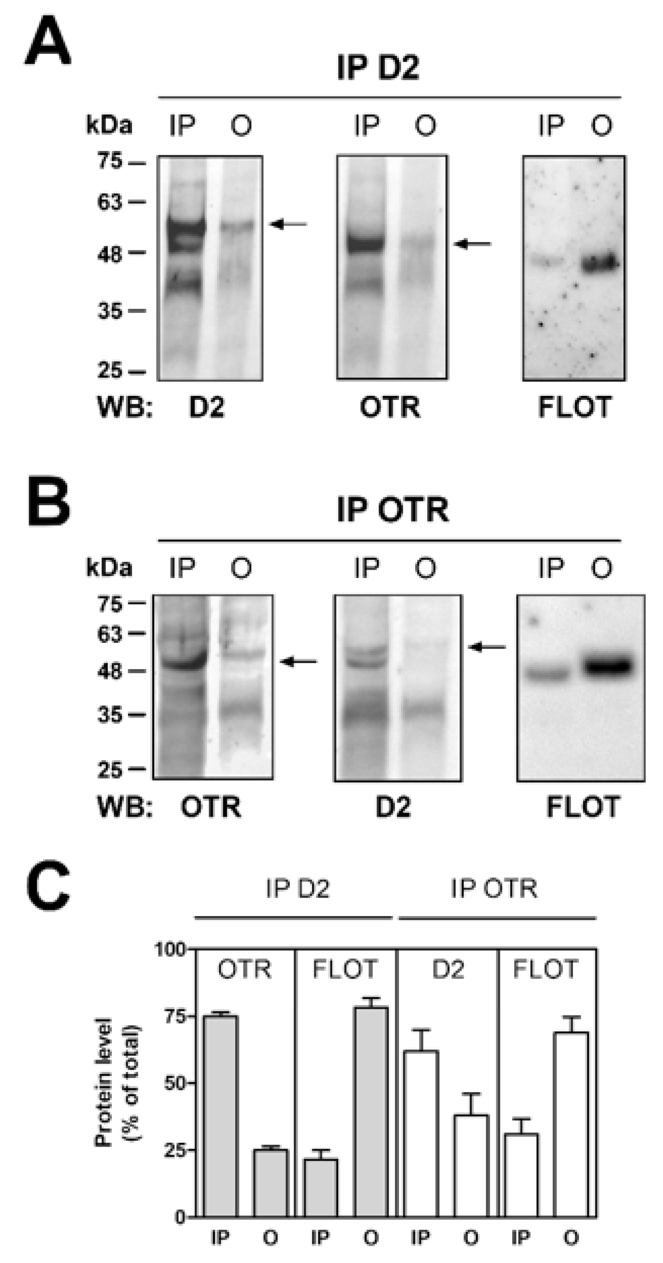 Ijms 24 04677 g004 Ijms 24 04677 g004
