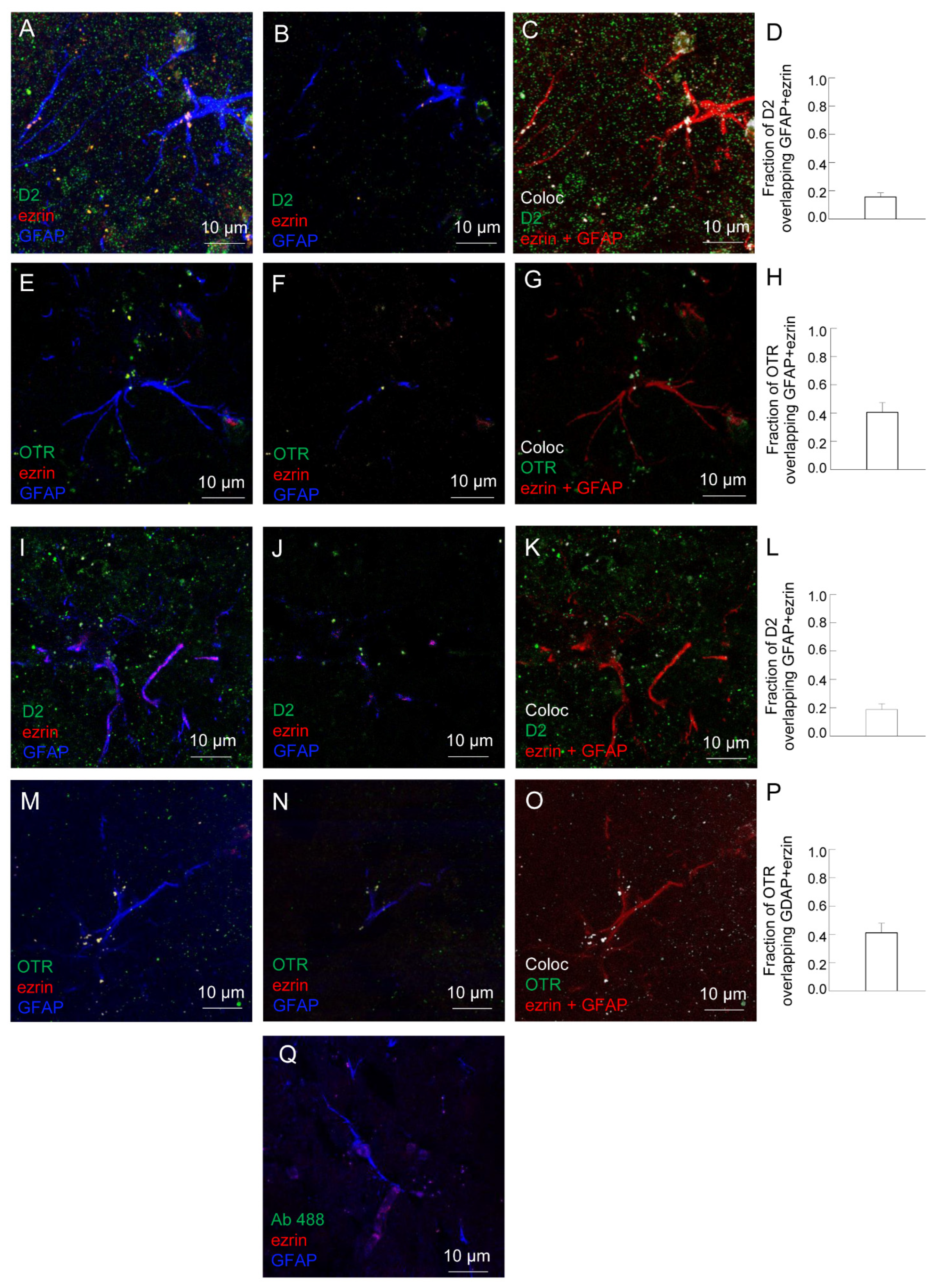 Ijms 24 04677 g005 Ijms 24 04677 g005