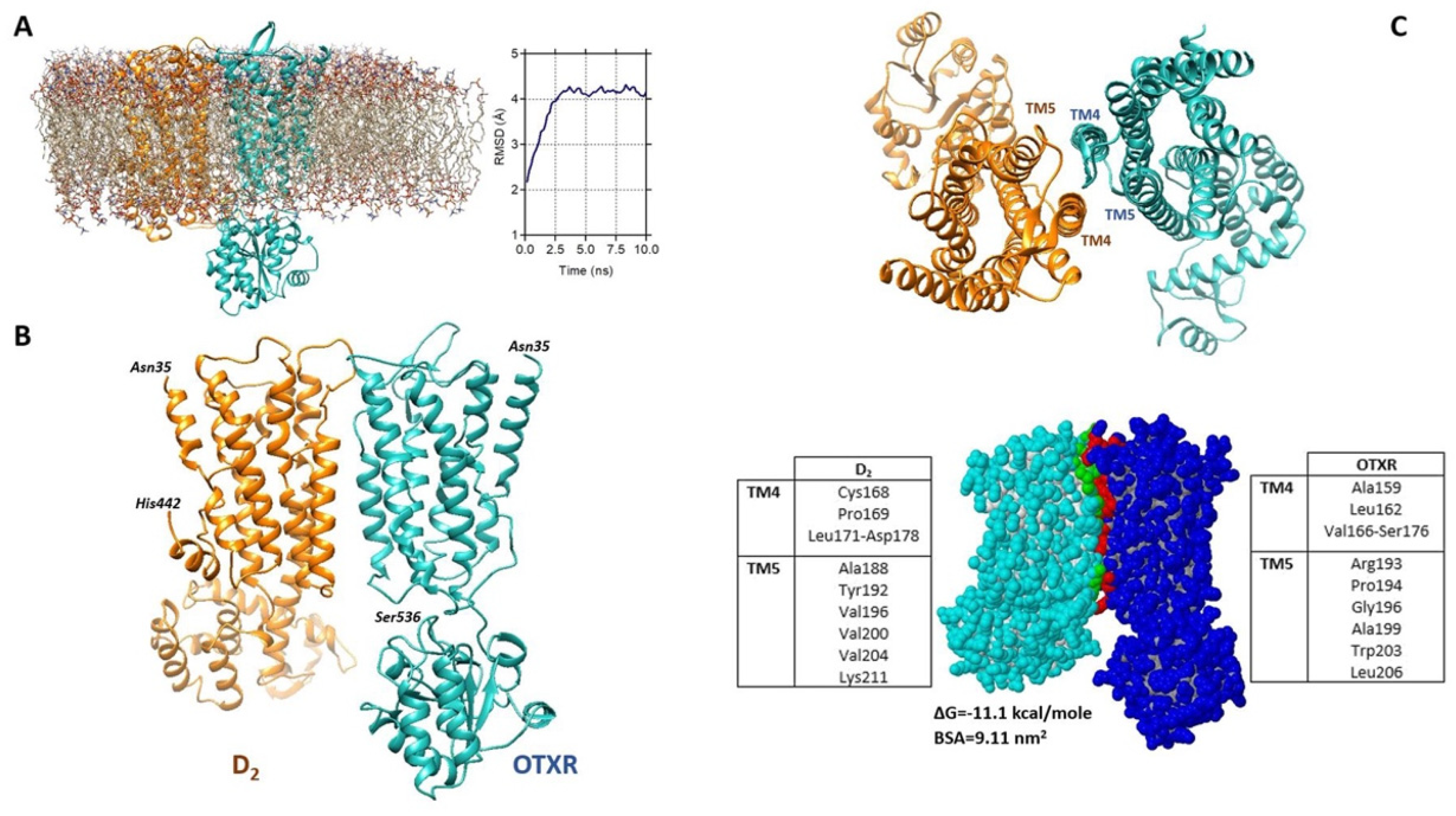 Ijms 24 04677 g007 Ijms 24 04677 g007