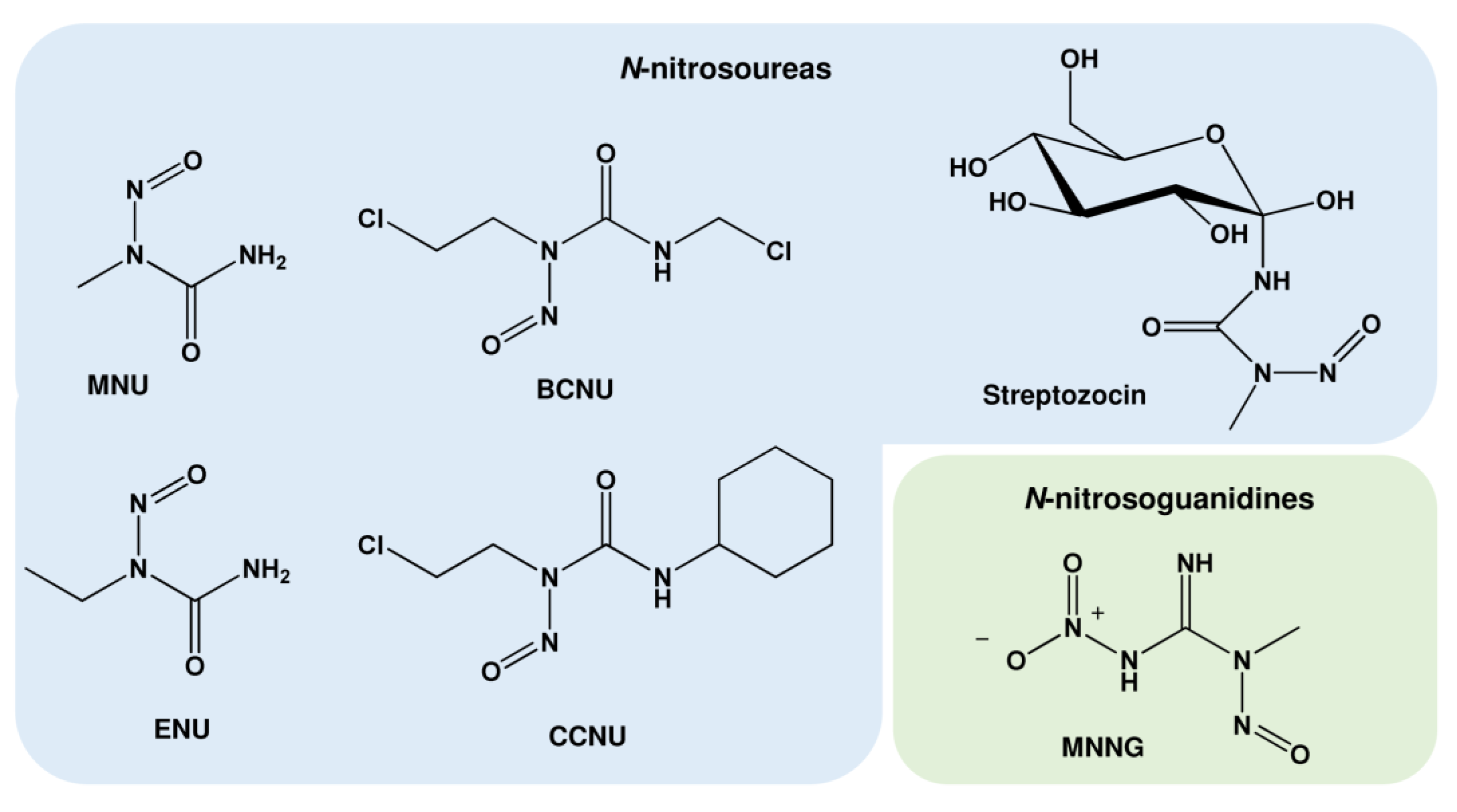 Ijms 24 04684 g004 Ijms 24 04684 g004